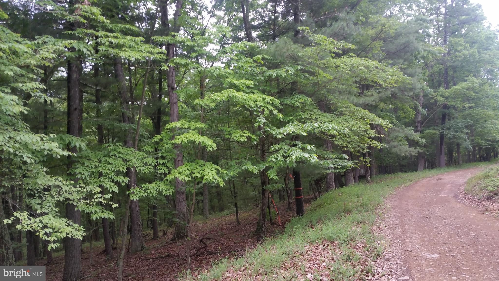 CEDAR RUN - Land