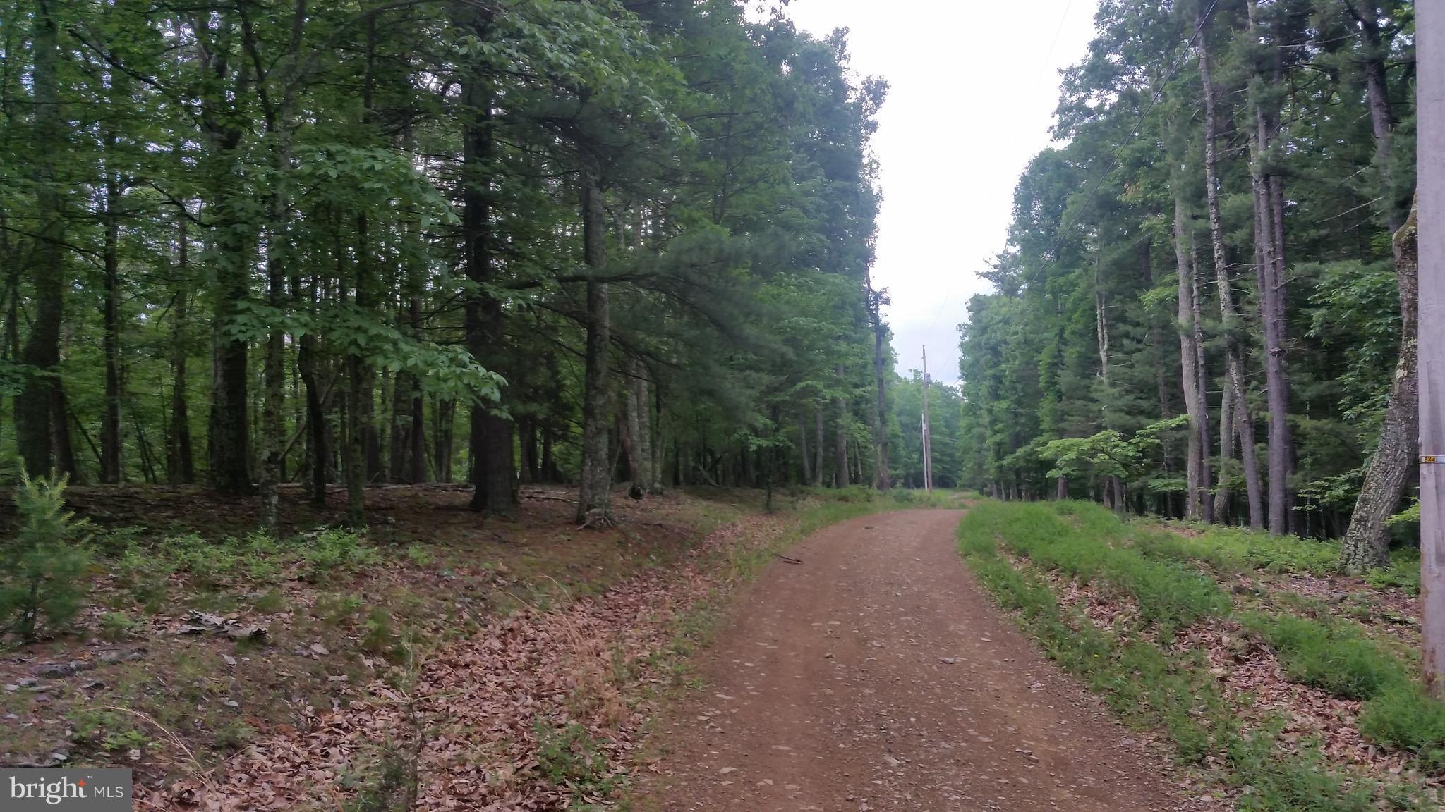 CEDAR RUN - Land