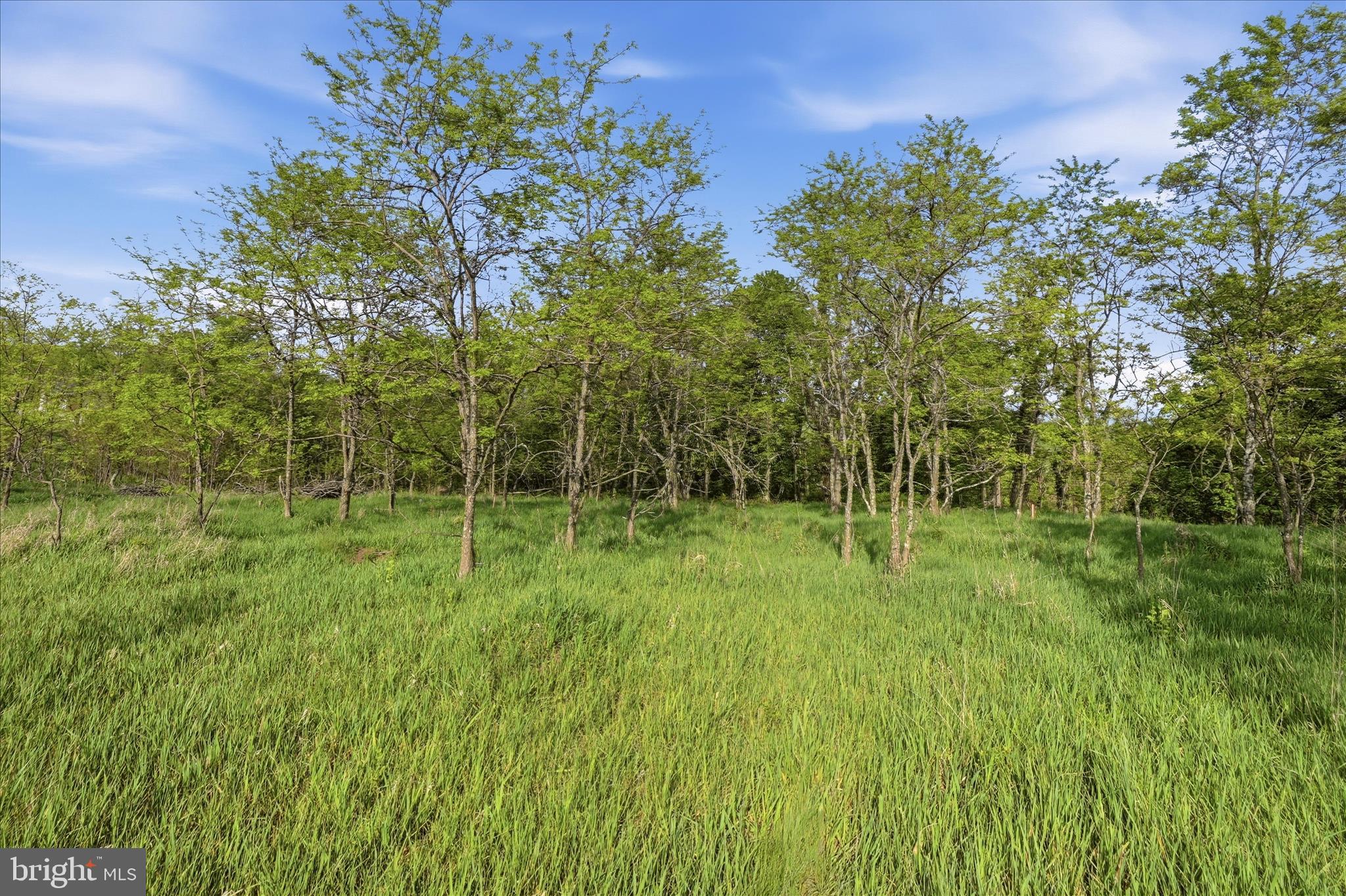 Discover your own slice of "Almost Heaven" in  Lost Mountain Subdivision of Romney, WV. This unimproved 3.36 acres of land offers the ultimate canvas for your custom mountain retreat, where every day begins with golden sunrises and ends with breathtaking sunsets and layered mountain views. 

Why you’ll love it here: 

 Outdoor Paradise:  Bordering over 10,000 acres of state public hunting land, Lost Mountain Subdivision owners have their own direct access to this prime wilderness just a short walk or UTV ride from your future doorstep.  

Wildlife & Serenity: Experience an abundance of nature in a quiet, secluded setting that feels worlds away, yet features well-maintained road access for year-round ease.

Fly-In Accessibility: A unique perk for aviation enthusiasts—the subdivision features its own private airstrip, allowing you to bypass the drive and land your private plane right in the community.

Convenient Location: While you’ll feel fully immersed in the wild, you are only a short drive from the historic Town of Romney for shopping, dining, and local amenities. 

If you are looking to escape from urban life this is a golden opportunity.  Whether you're dreaming of a rustic cabin or a modern cliffside estate, this property offers the rare combination of adventure, privacy, and accessibility.  

Note:  This lot was previously approved for a Class 1 Perk.  That perk has expired however.  Underground electric is available on site.  

The information contained herein is for informational purposes only.  RE/MAX Roots makes no representation as to the accuracy or reliability of the information.  The buyer is to verify information provided and related to the property that is material to a buyer's decision to purchase the property.   All documents and other information attached to this listing are provided as a courtesy and should be researched and verified by the buyer agent.
