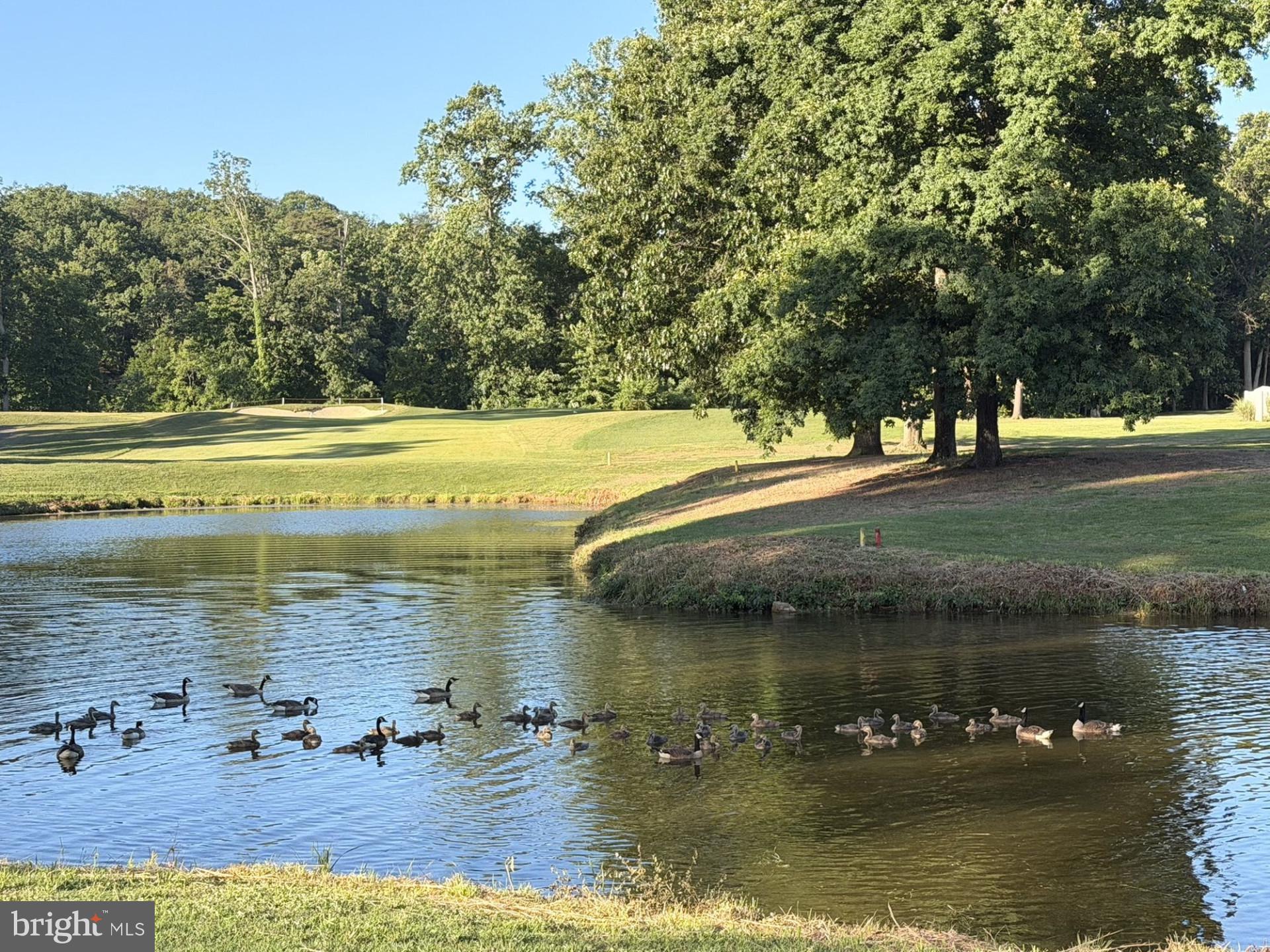 PINE VALLEY - Residential