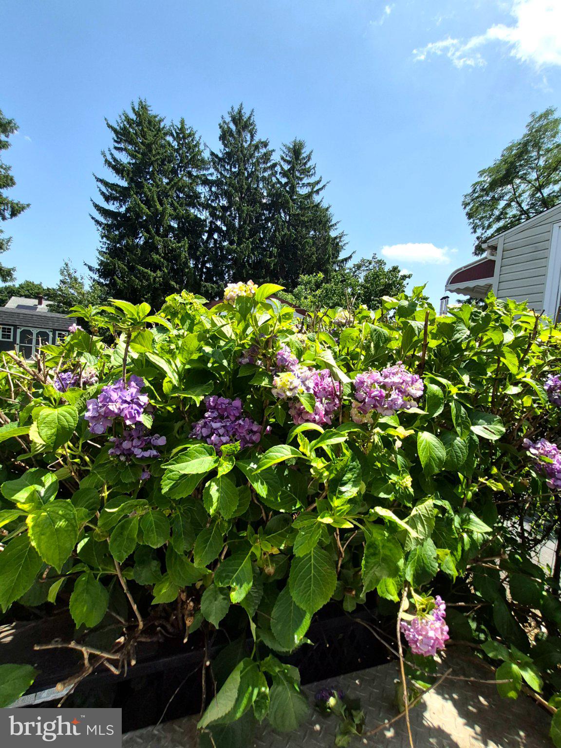 JENKINTOWN - Residential