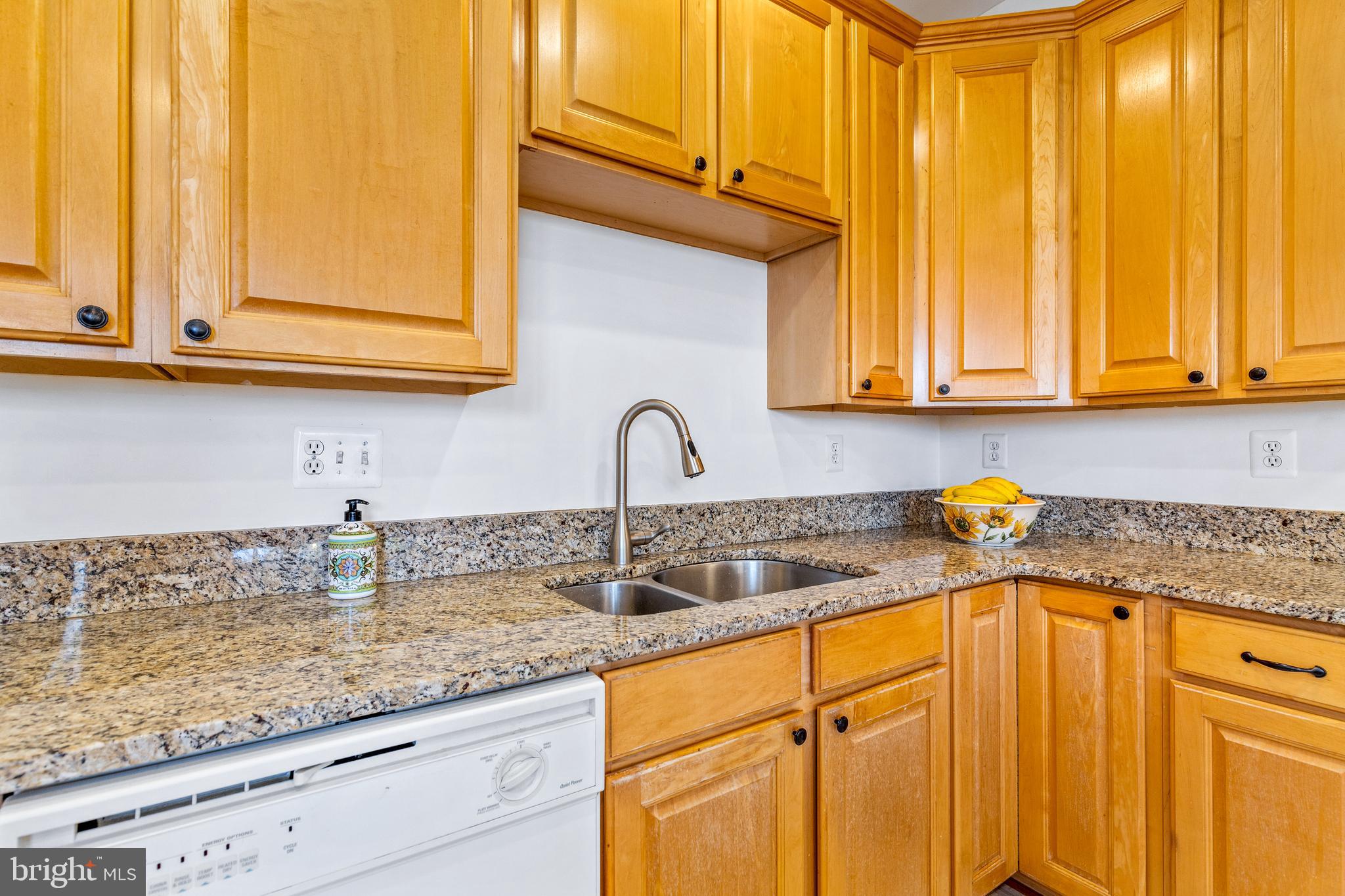 ASHBURN VILLAGE - Residential