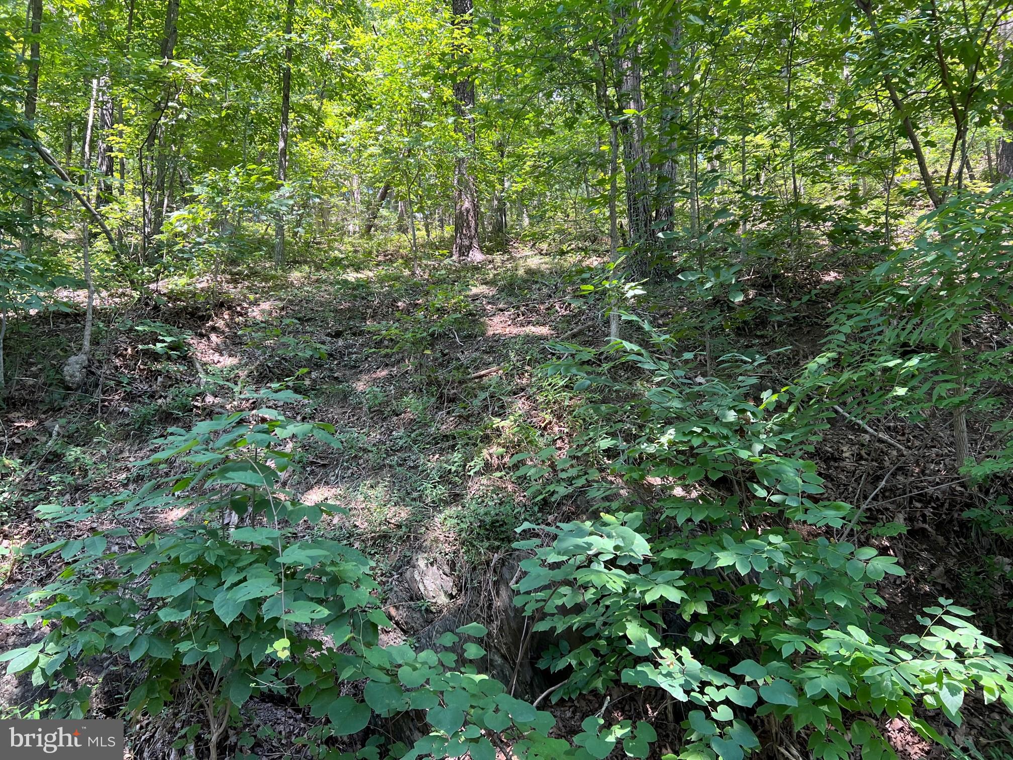 Beautiful piece of property in a very quiet setting. Enjoy the abundance of wildlife along with peace and quiet while still being only minutes from I-68 and I-70. This lot of land would be great to build a home for your forever location or bring your camper and use it as a hunting camp, lots of opportunity for ATV riding, hiking, camping, etc. The property use is unrestricted and is currently in the Clean and Green program which means cheaper taxes.  Acreage is approximate as it has not been subdivided from the original parcel yet.  There is no house on this property, vacant land only.  Property has recently been subdivided and ready to be recorded with the transfer into your name!  Come check it out today!