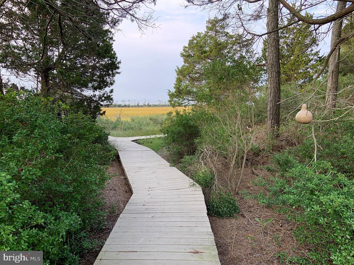 CAPE CHARLES - Residential
