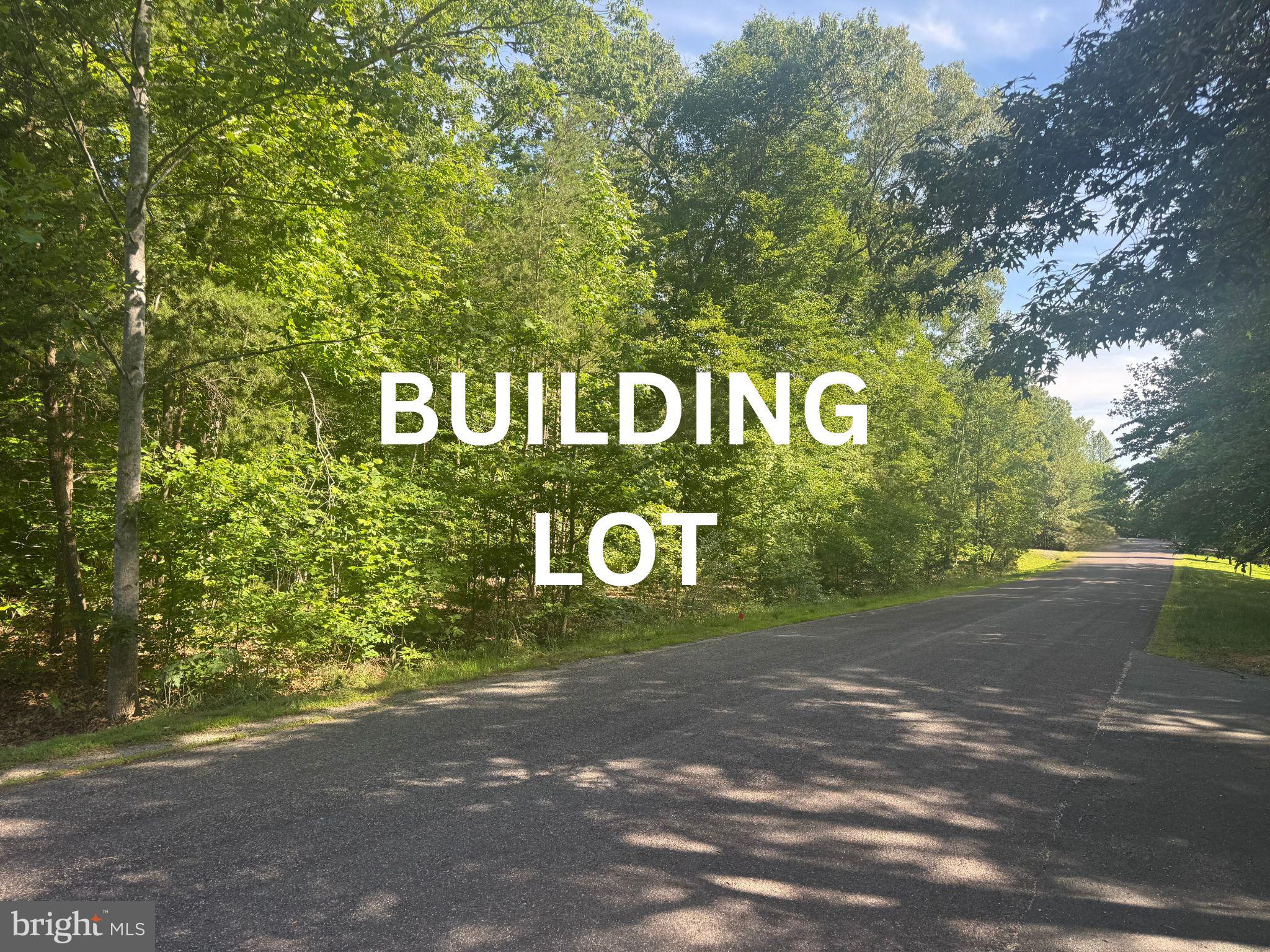 This 1+ acre lot does come with a leased deep water boat slip. Here is your chance to build your forever home or you weekend getaway home! This lot had perc'd for a 3-bedroom conventional perc. You will be just minutes away either by boat or car from shopping, The Cove..which is a restaurant and gas! Come see this gorgeous, treed lot today!