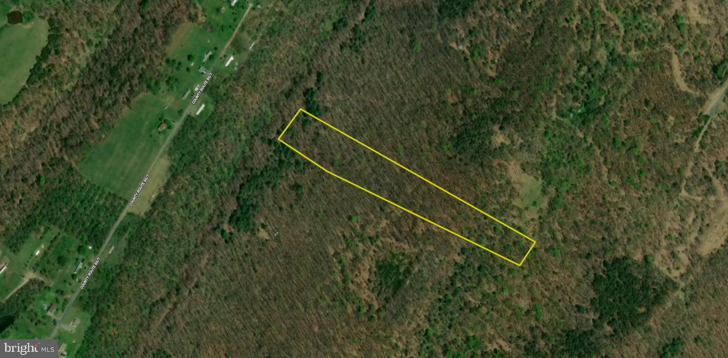 MILL MOUNTAIN ORCHARD - Land
