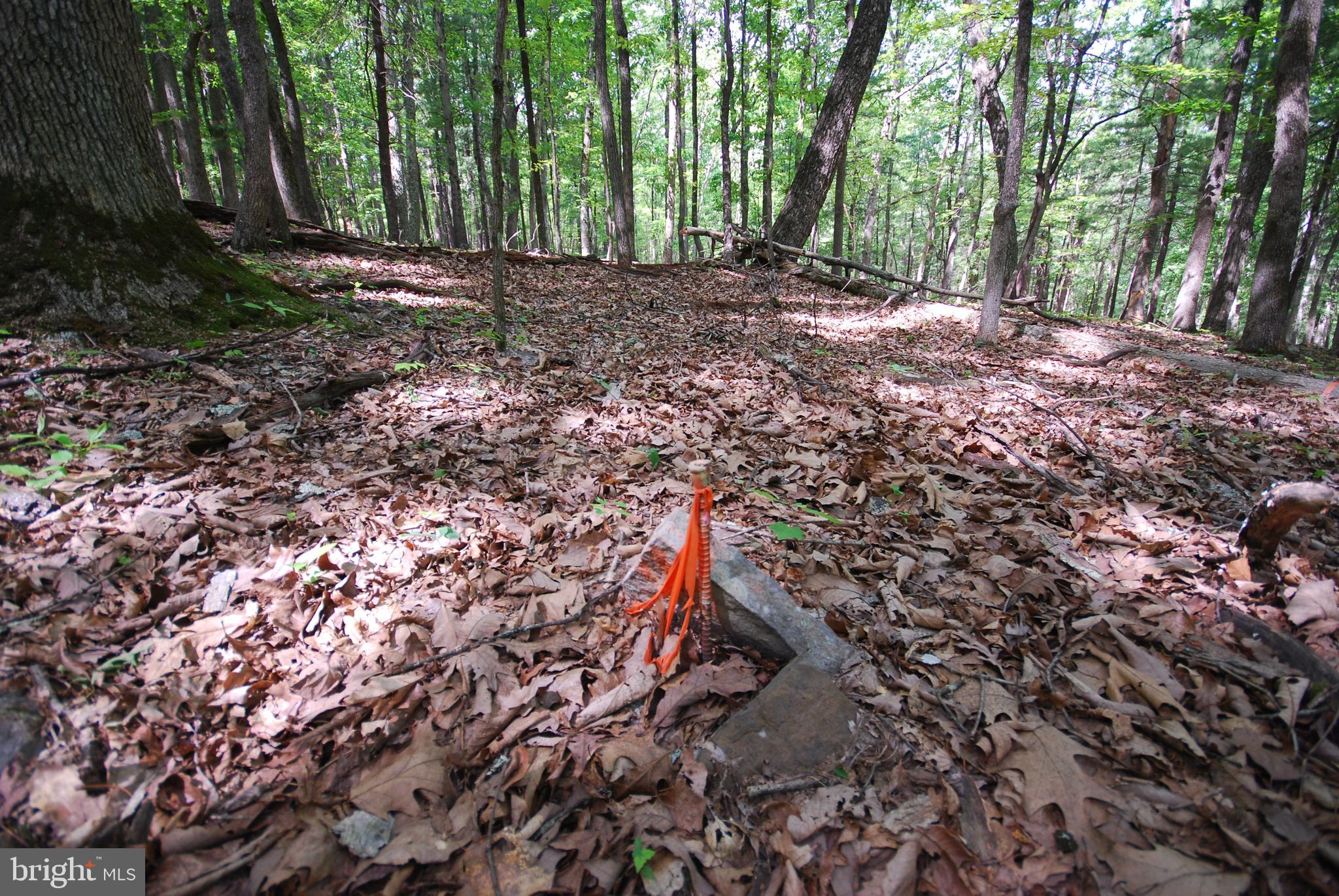 MILL MOUNTAIN ORCHARD - Land