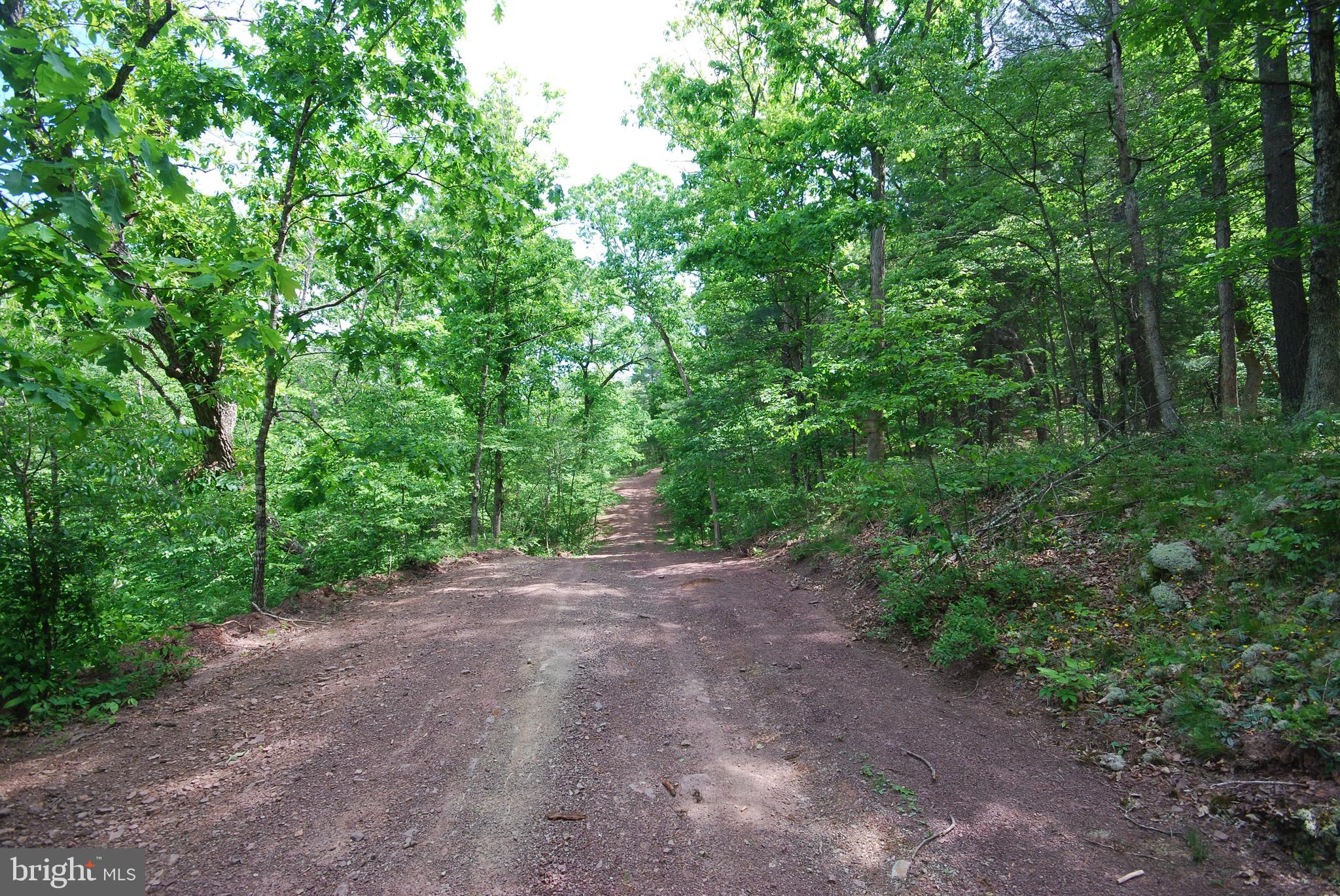 MILL MOUNTAIN ORCHARD - Land