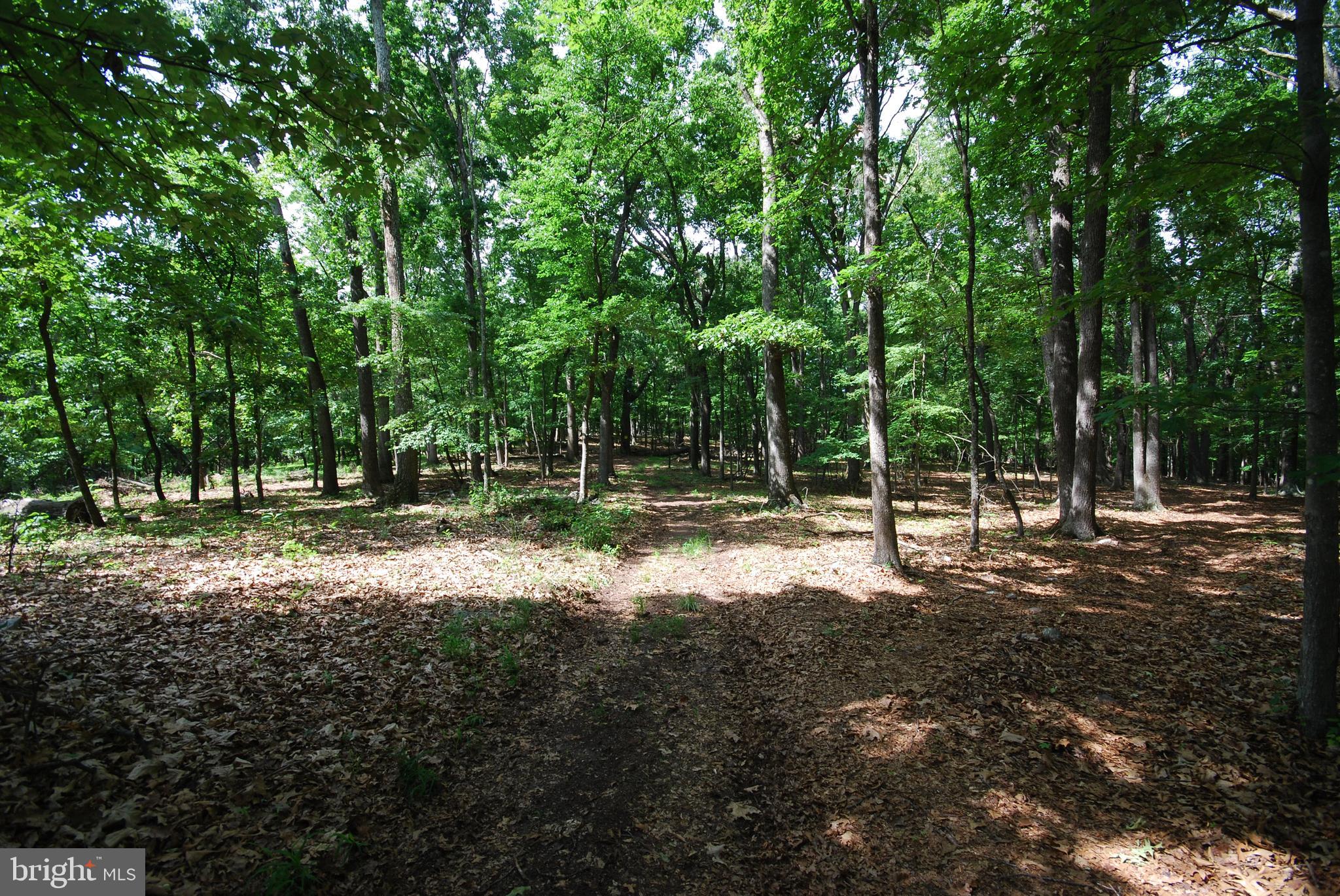 MILL MOUNTAIN ORCHARD - Land