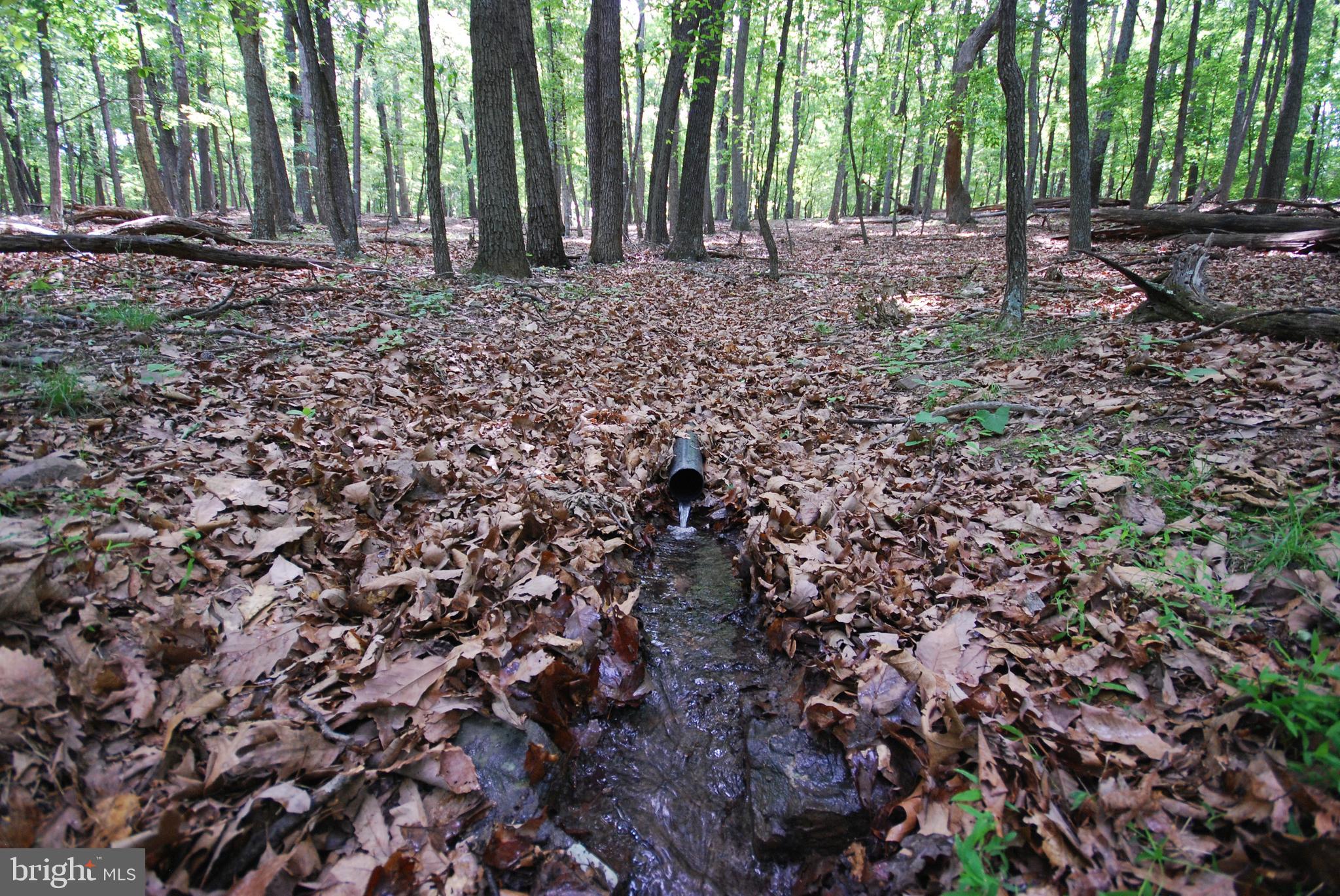 MILL MOUNTAIN ORCHARD - Land