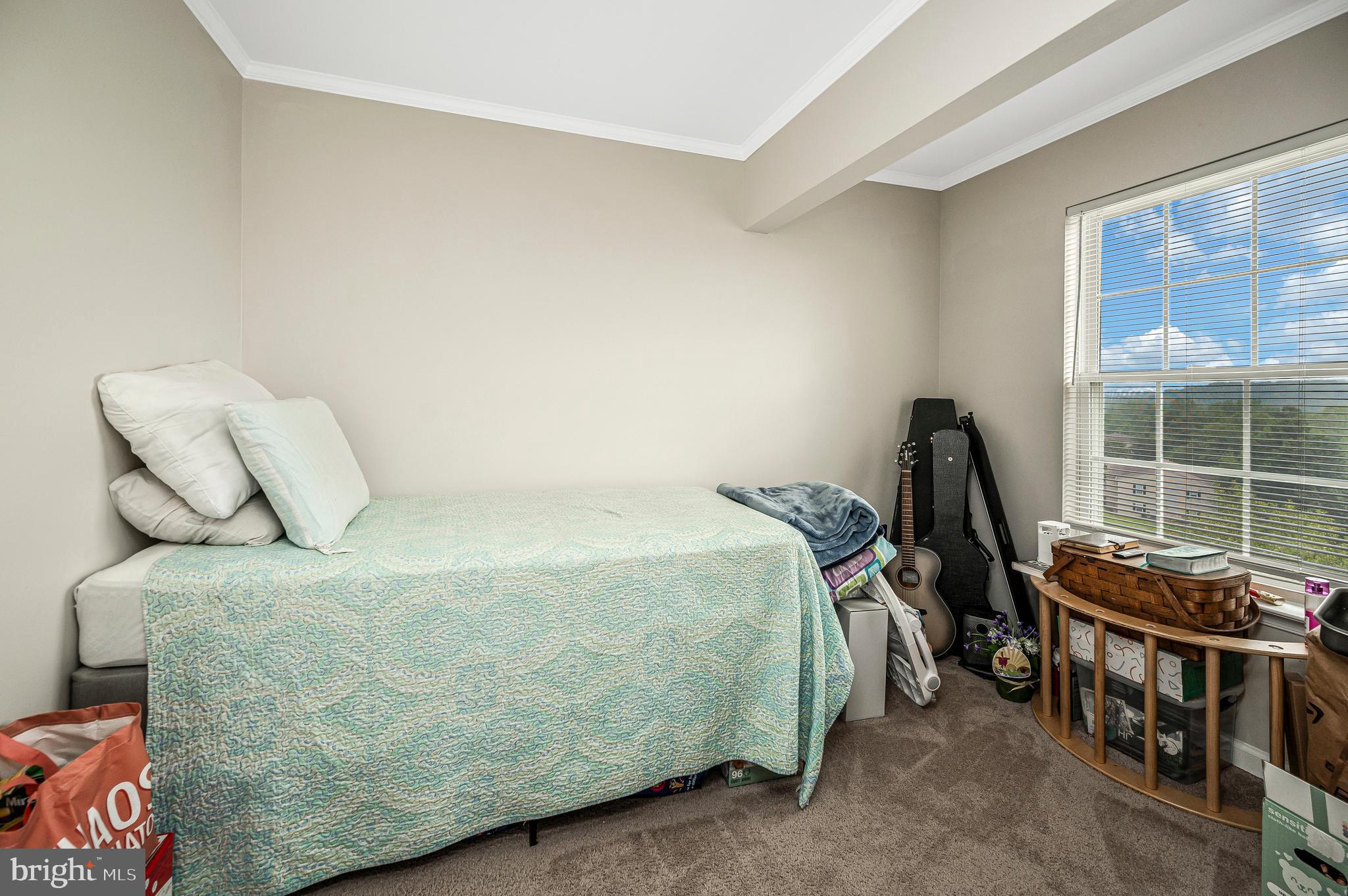 CARRIAGE POINTE AT AQUIA - Residential
