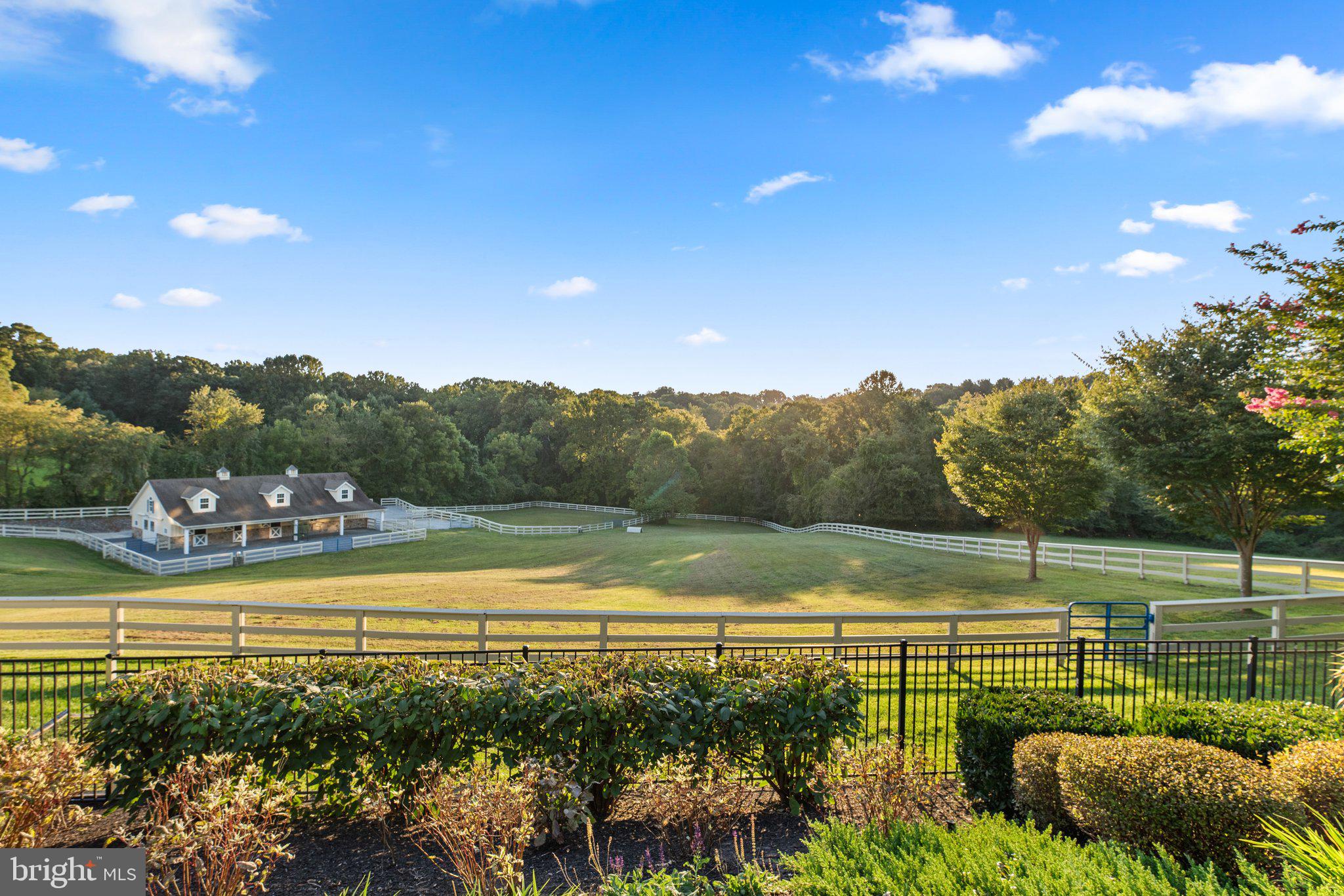 CISSEL FARM - Farm