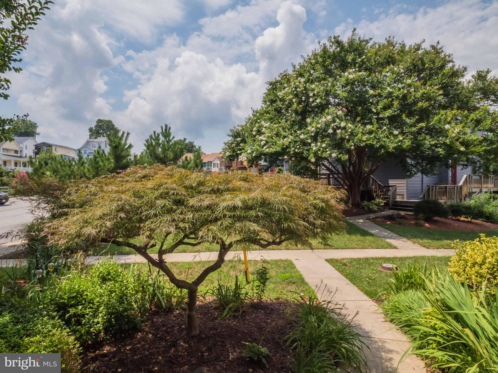 CHESAPEAKE STATION - Residential Lease