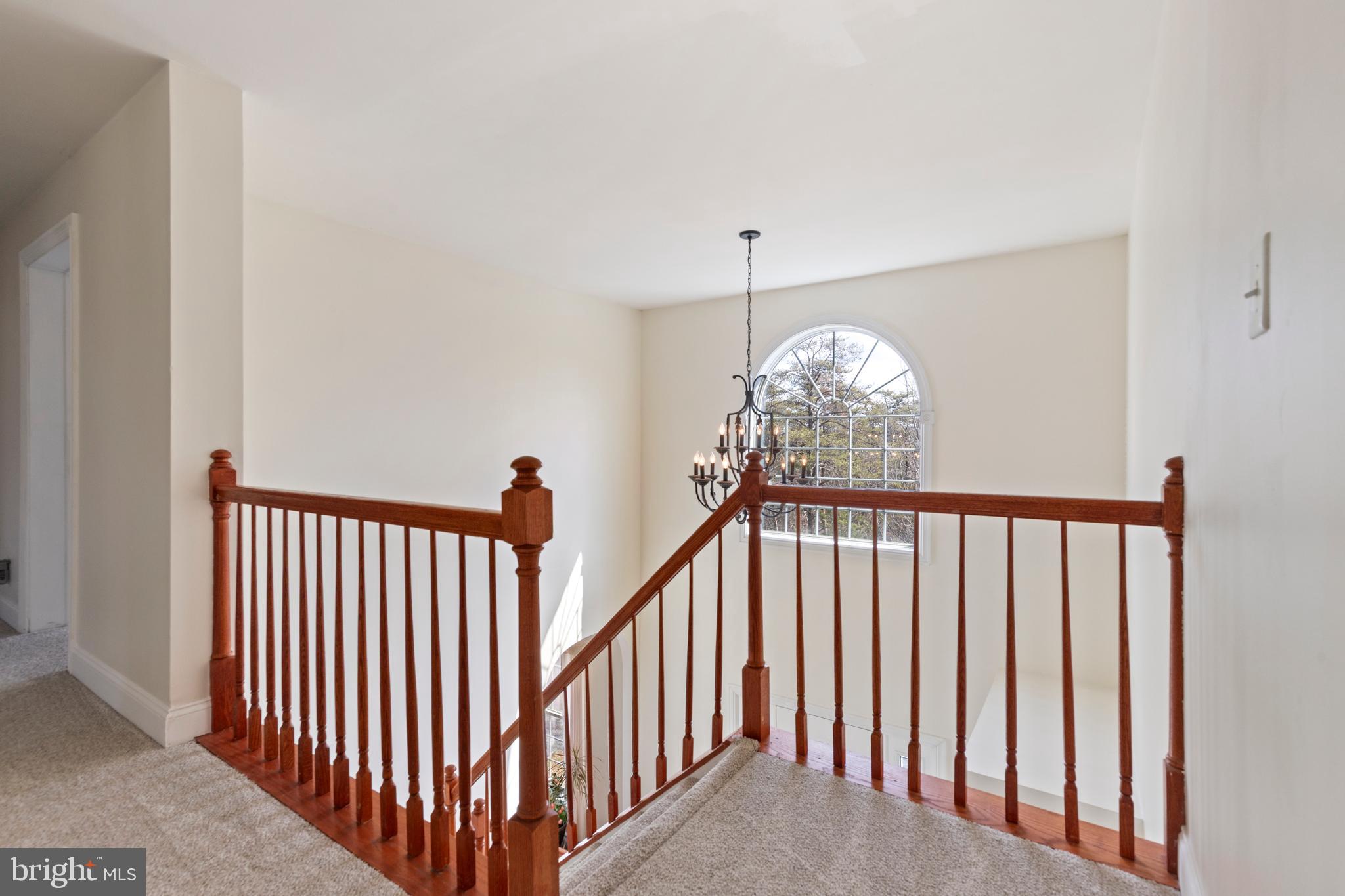 CHESTNUT GROVE ESTATES - Residential