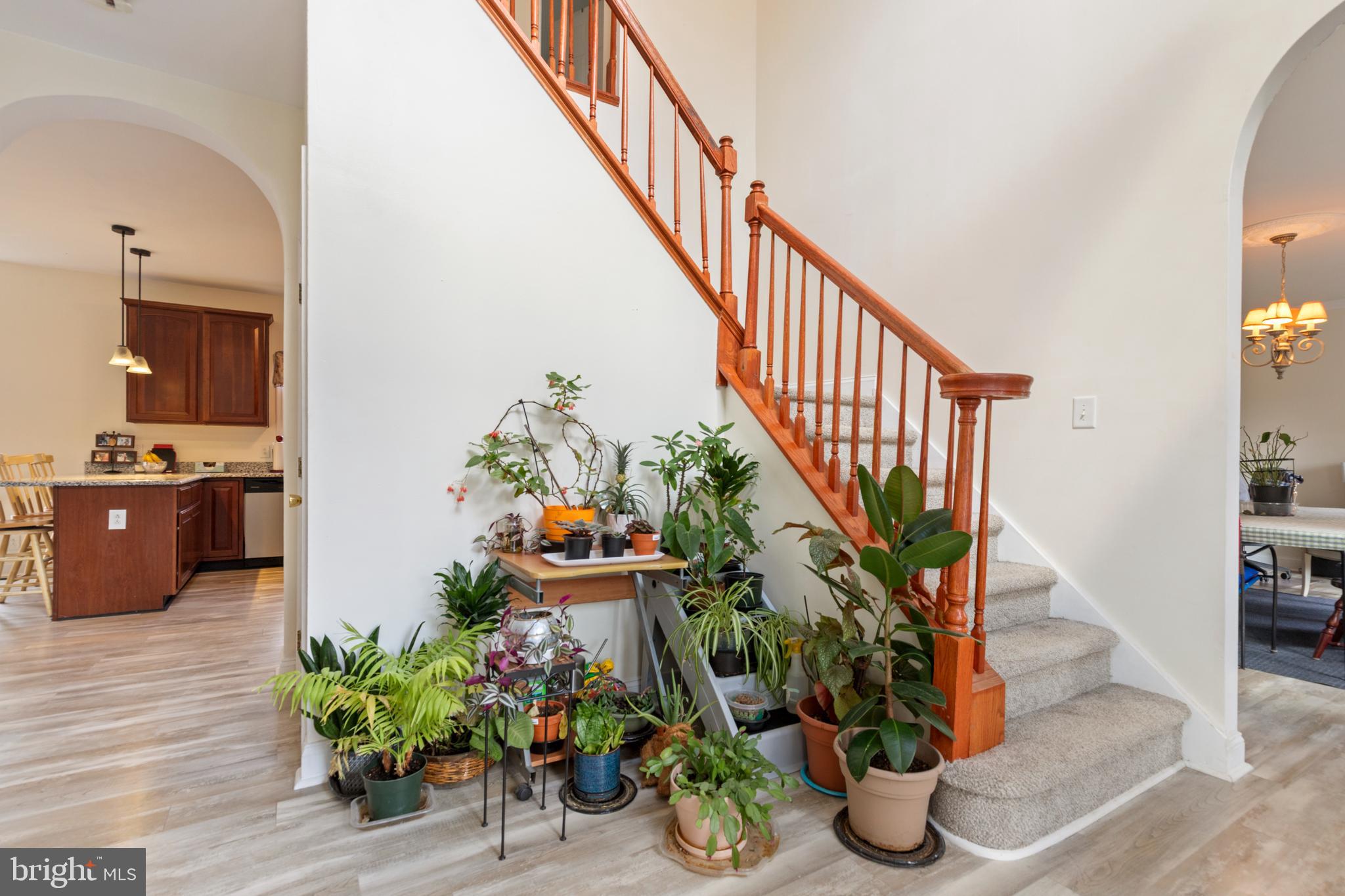 CHESTNUT GROVE ESTATES - Residential