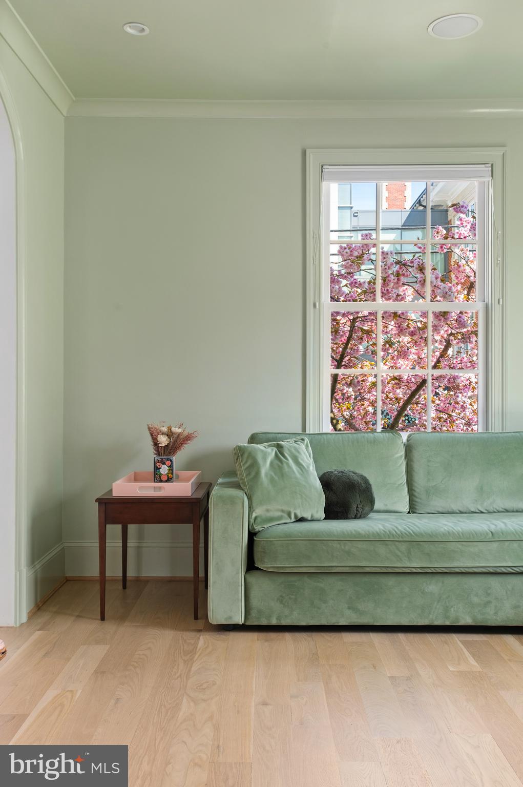 CLEVELAND PARK - Residential