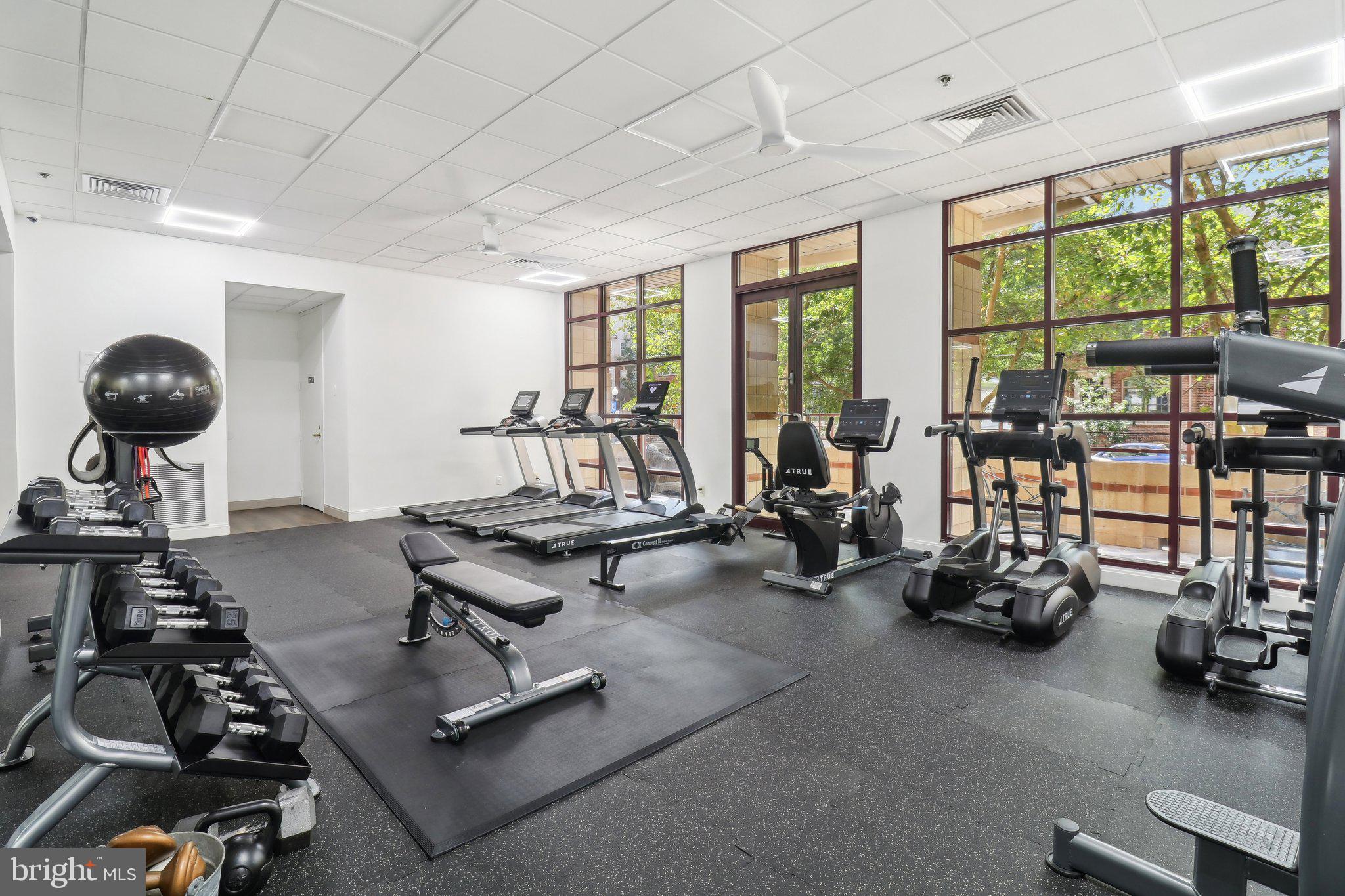 CHARLESTON CONDO - Residential Lease
