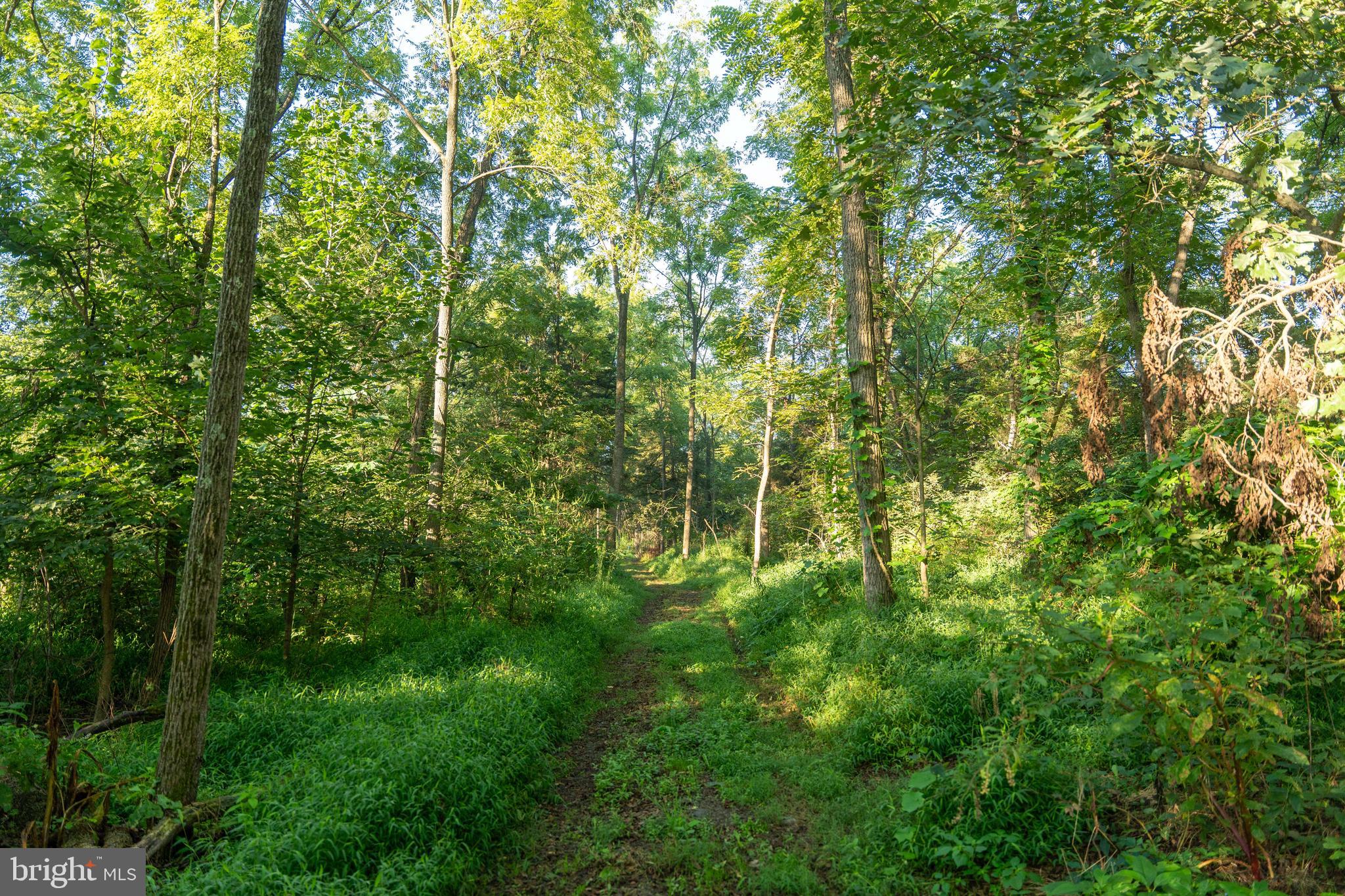 WEST PENNSBORO TWP - Residential