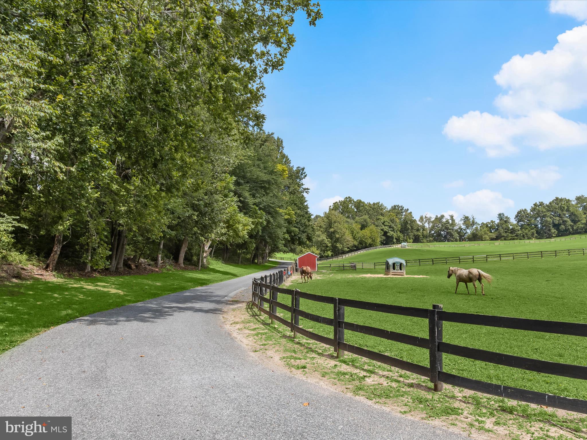 DAMASCUS OUTSIDE - Farm