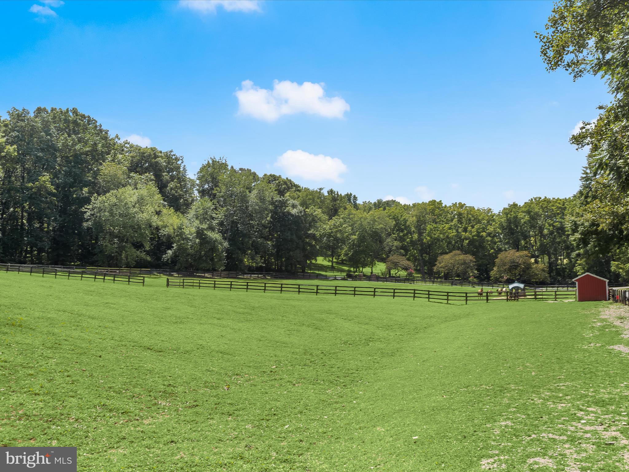DAMASCUS OUTSIDE - Farm