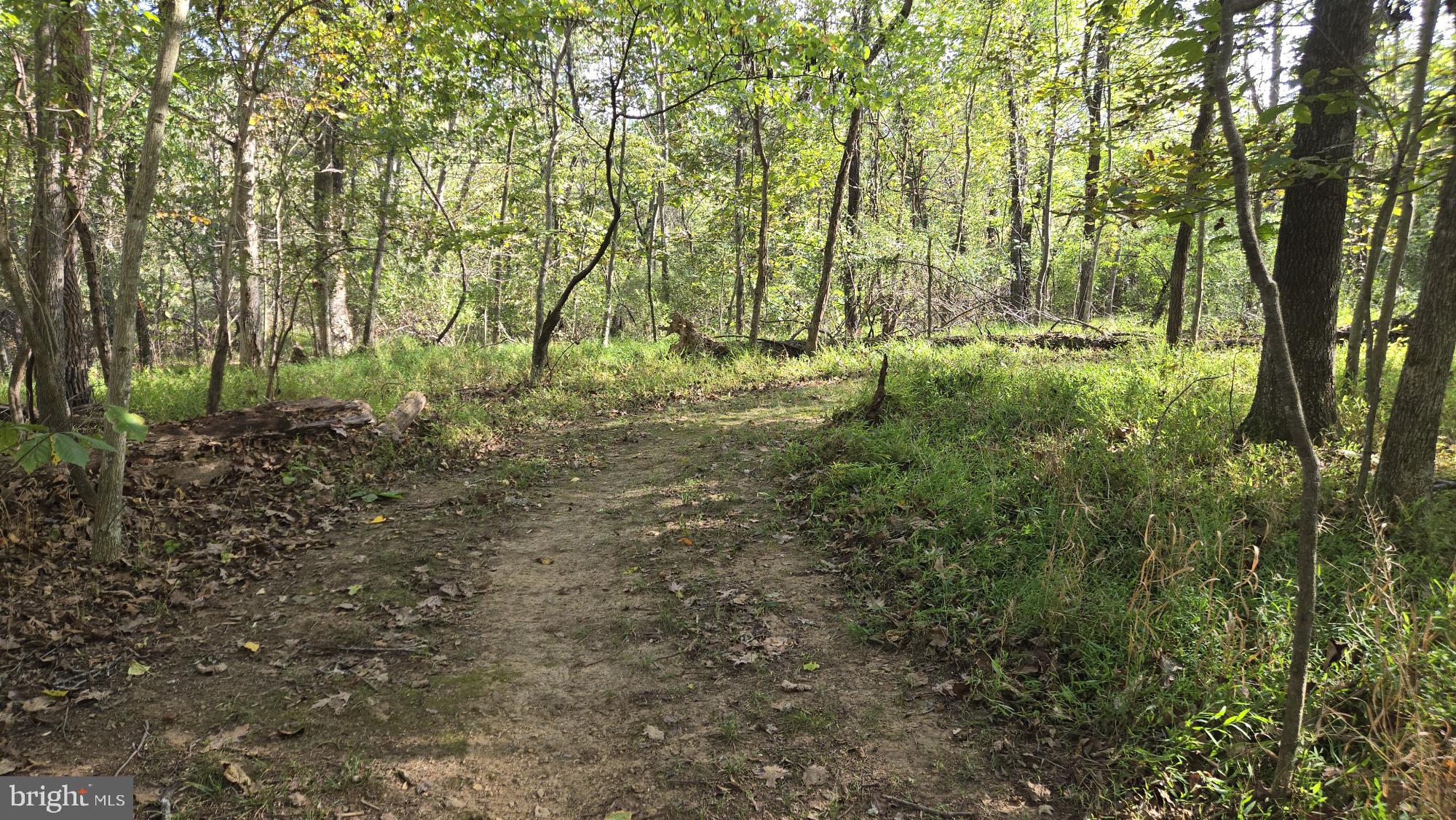 BIRCH CREEK - Land
