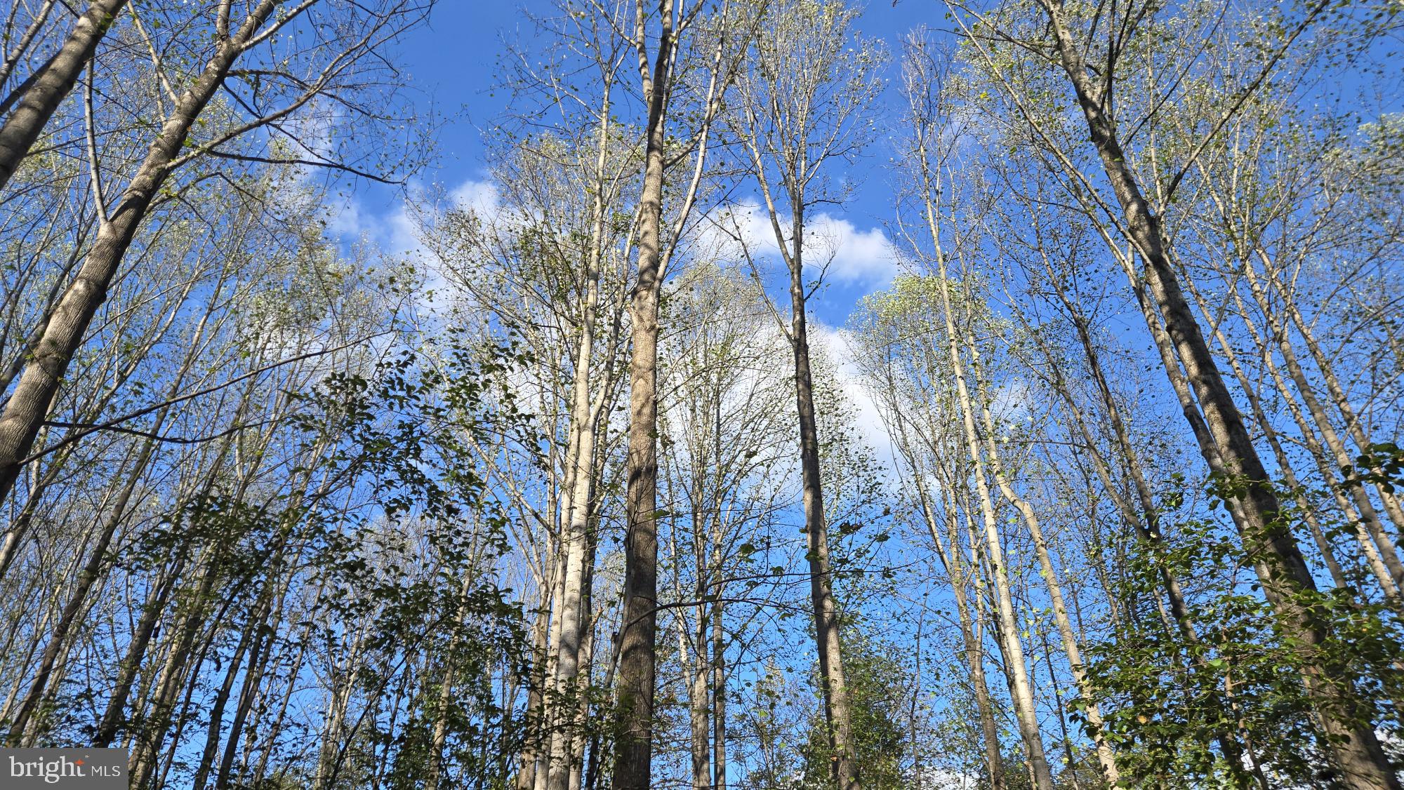 BIRCH CREEK - Land