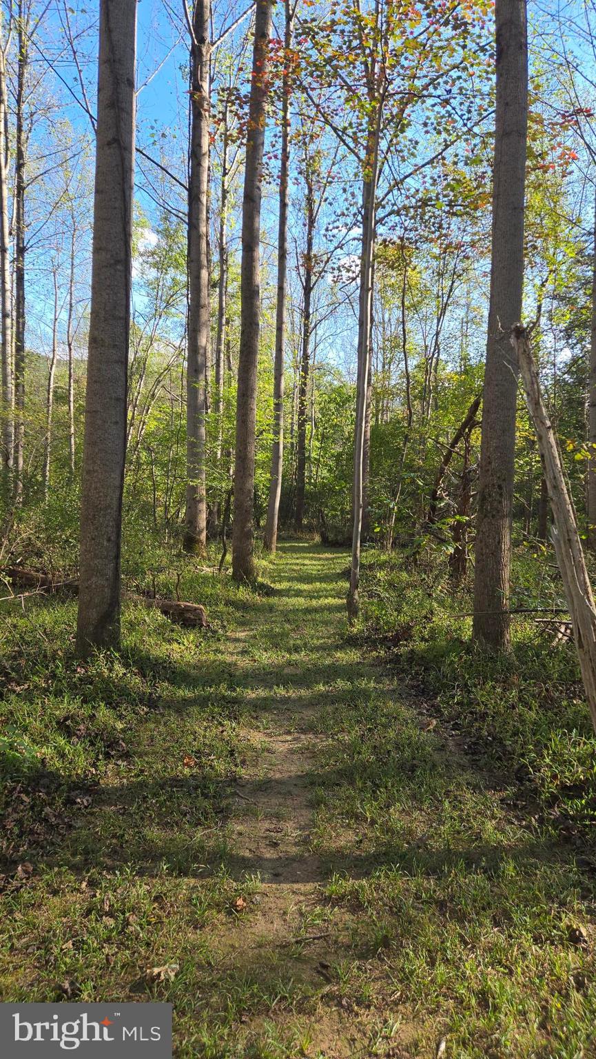 BIRCH CREEK - Land