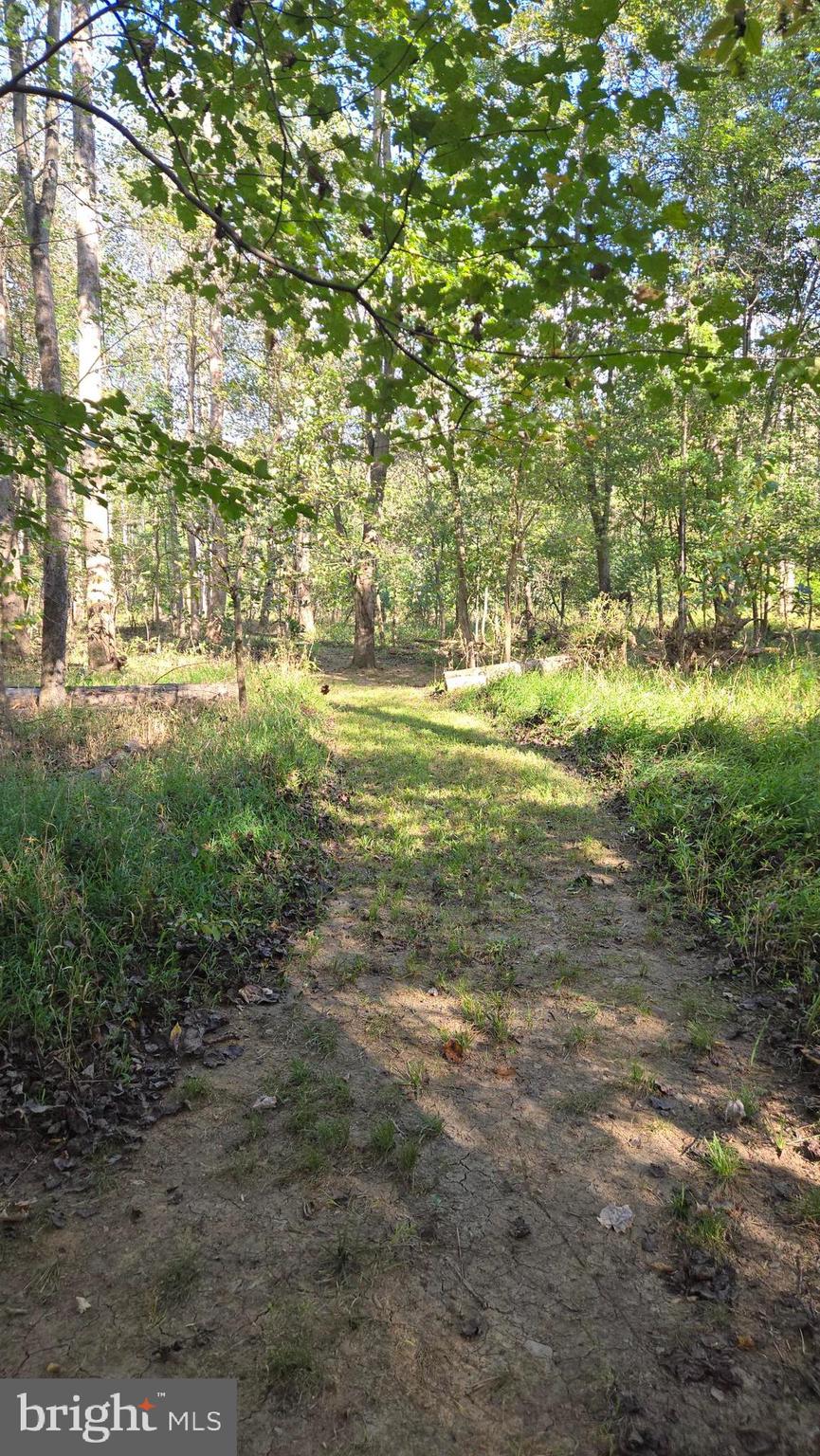 BIRCH CREEK - Land