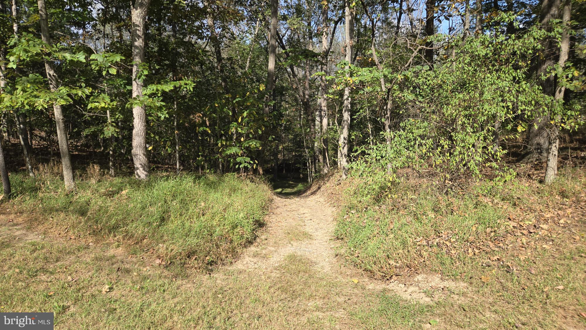 BIRCH CREEK - Land