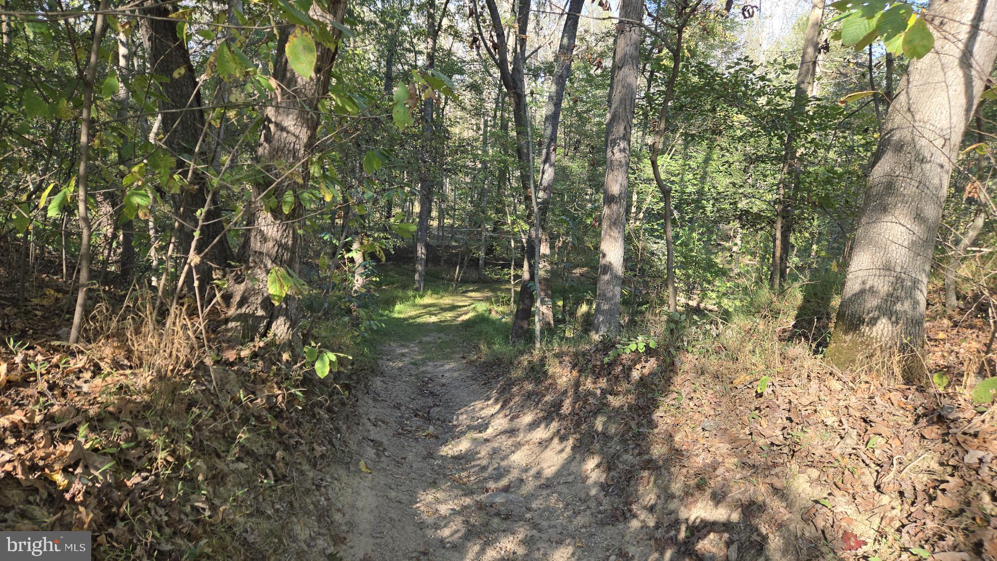 BIRCH CREEK - Land