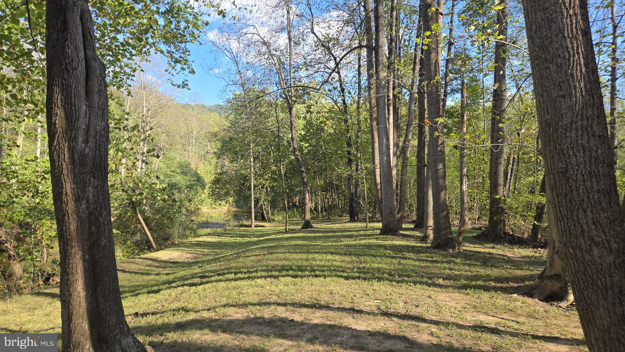 BIRCH CREEK - Land