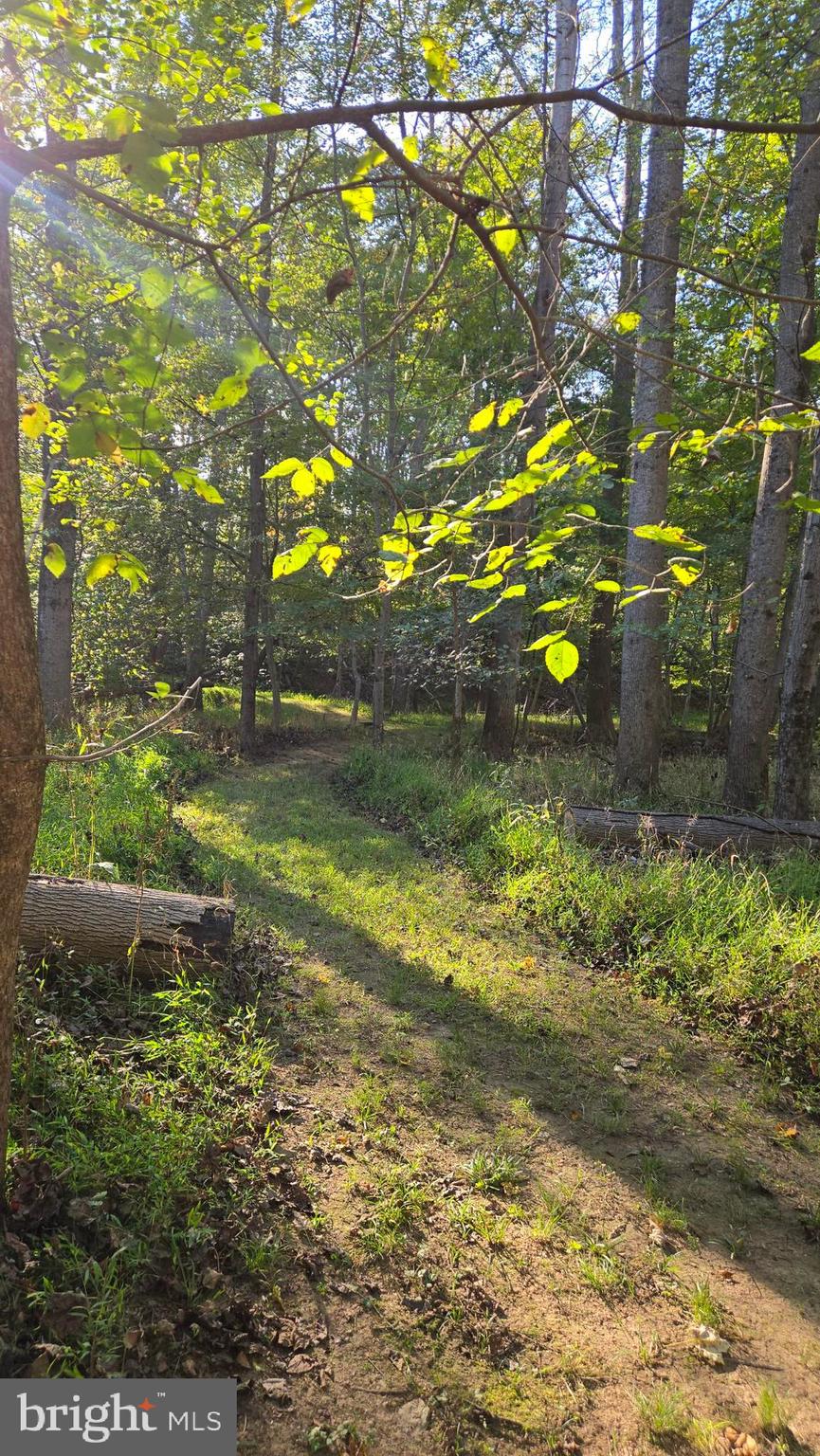 BIRCH CREEK - Land