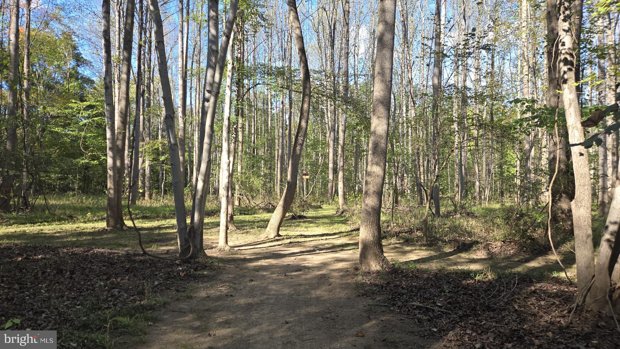 BIRCH CREEK - Land