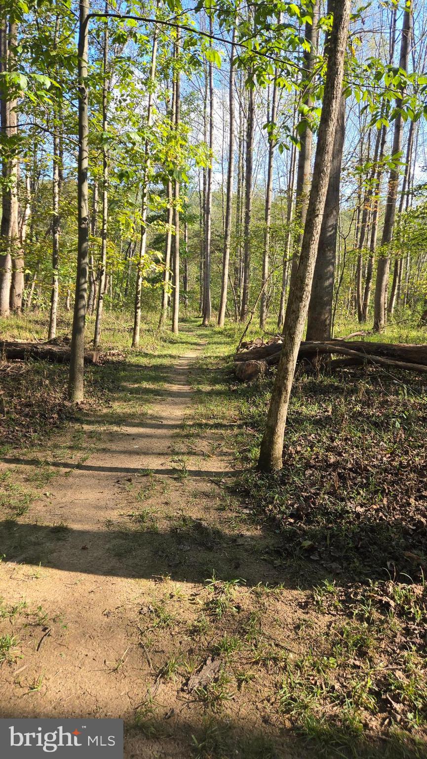 BIRCH CREEK - Land