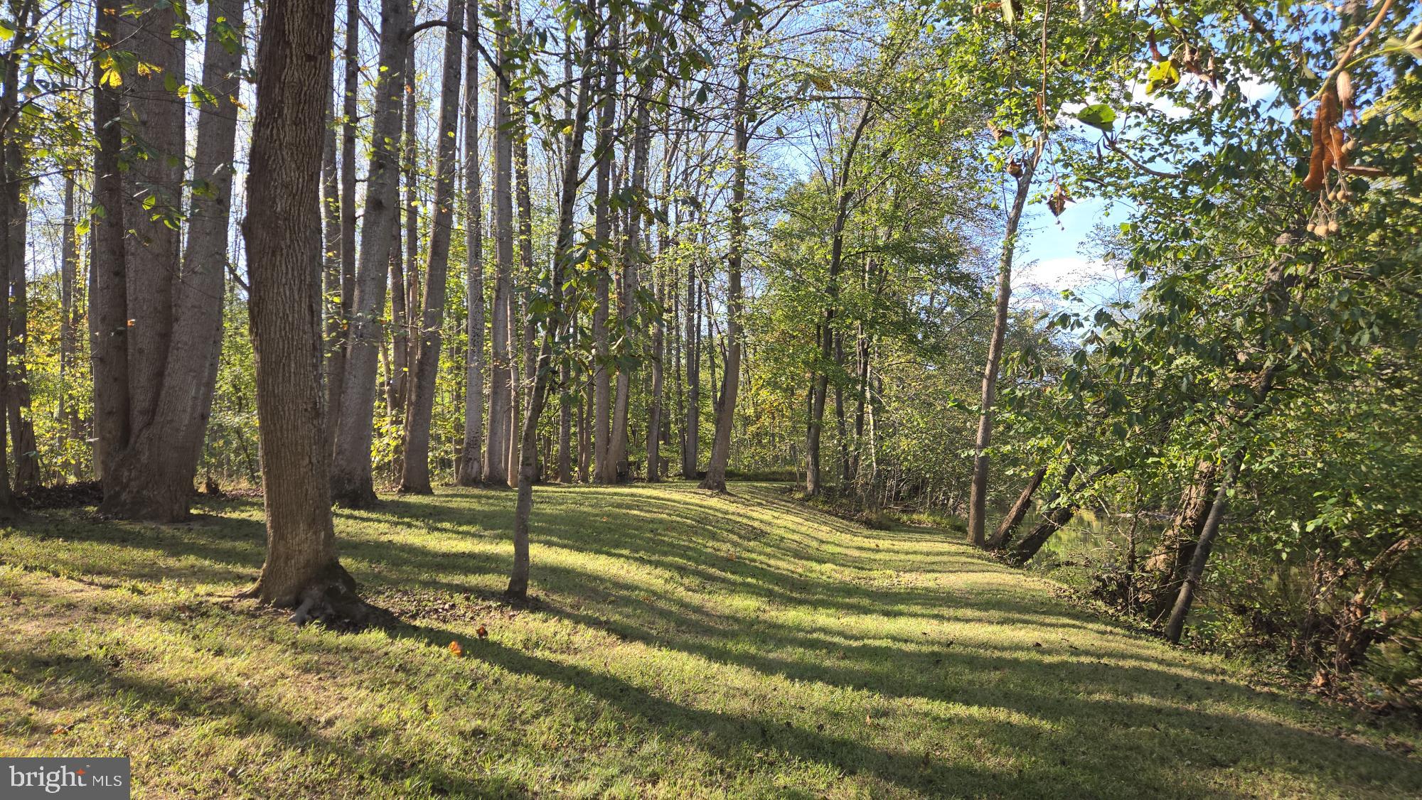 BIRCH CREEK - Land