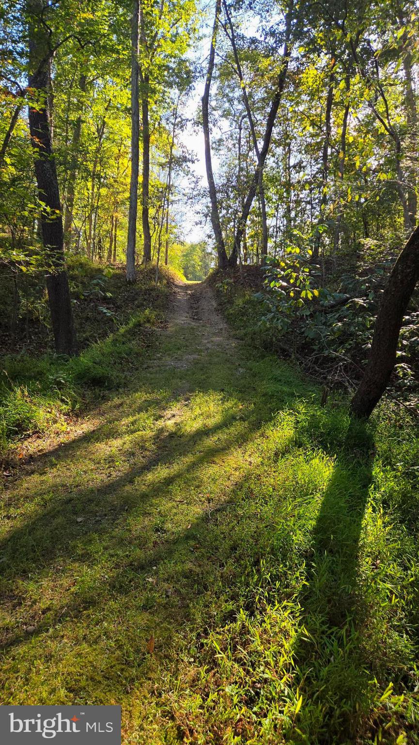 BIRCH CREEK - Land