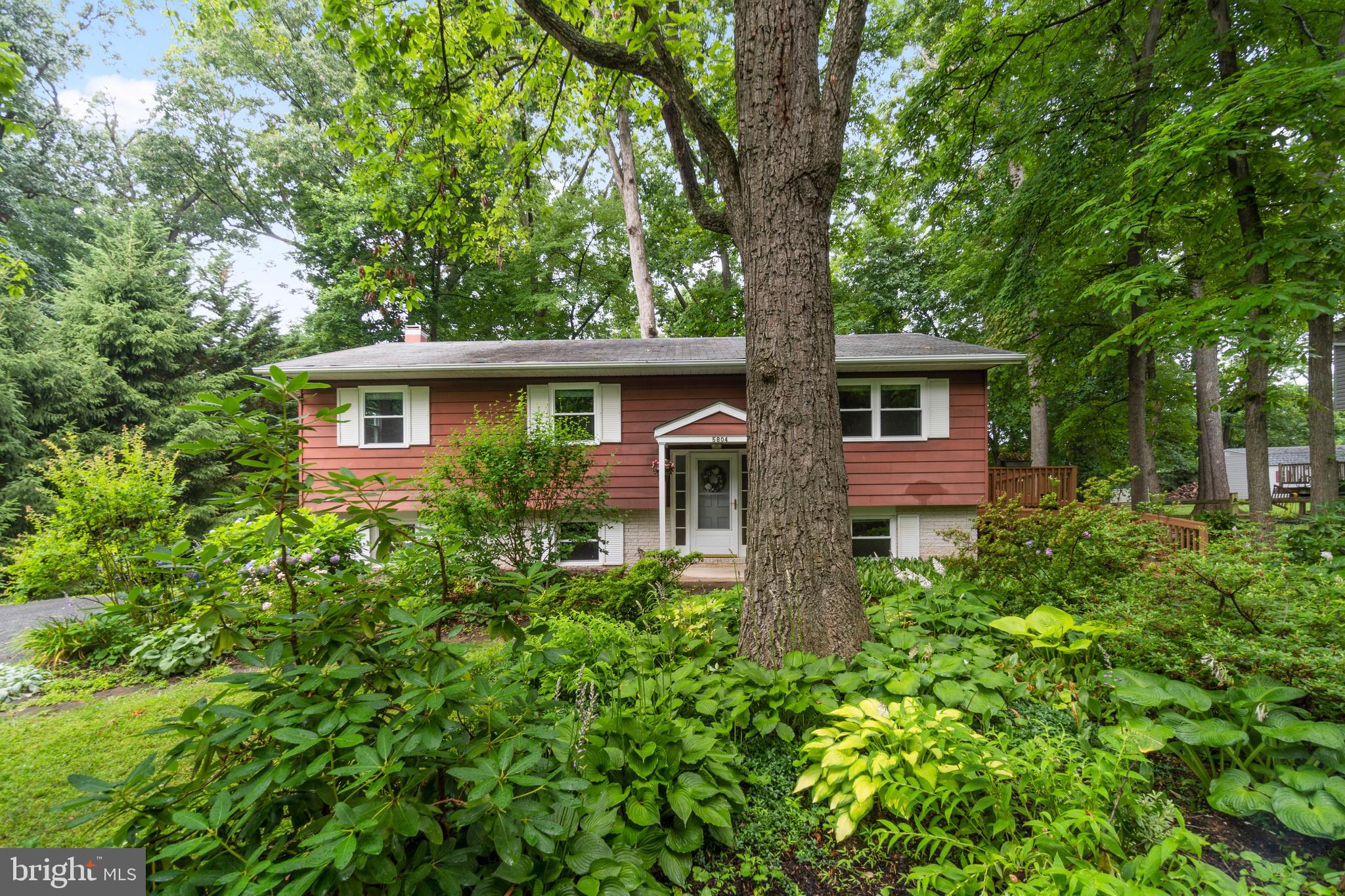 CARROLL SQUARE - Residential