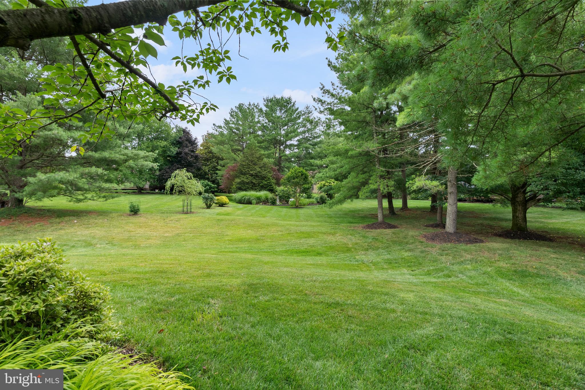 THE MEADOWS OF GREEN SPRING - Residential