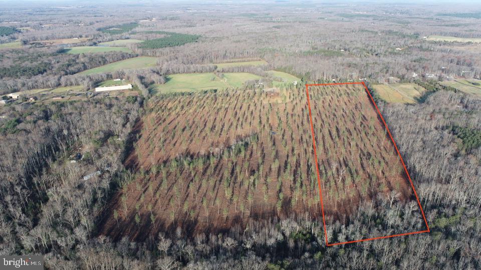 The Lawyers Seed tract is just shy of 15 acres with good road frontage on Lawyers rd in Spotsylvania County. This property lays flat to rolling with power, Soil work, and no restrictions. Located 25 minutes from Orange, 10 minutes to Lake Anna, 1 hour to Charlottesville & Richmond, and 35 minutes to Fredericksburg this property is located centrally to a ton of very nice places. The Timber on this tract is comprised of mature loblolly pine that was just thinned, and seed trees were left creating and almost Savanna like look to the property. This would make for a wonderful building site while still having acreage to hunt, ride 4 wheelers, and recreate. A creek runs along the back side of this property that is steadily flowing and year-round.