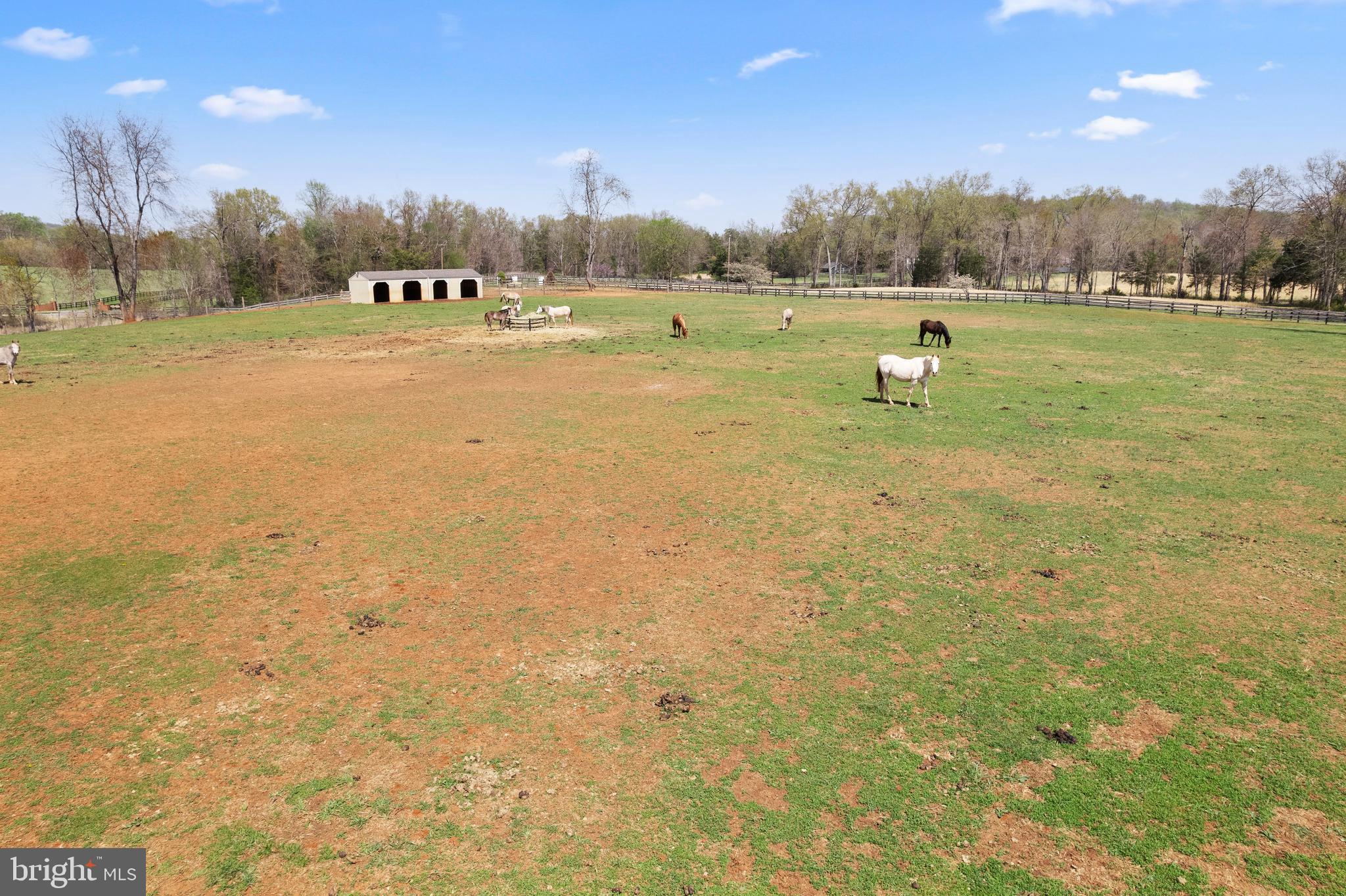 MONTEITH FARM - Farm