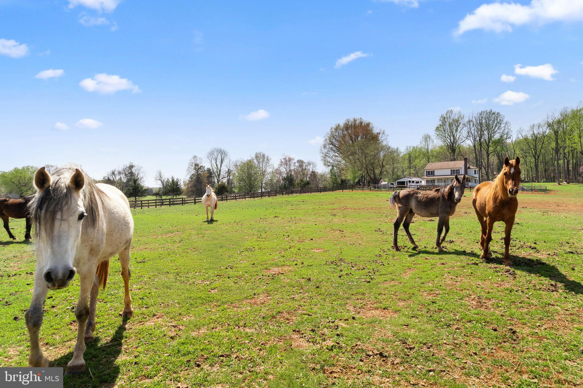 MONTEITH FARM - Farm