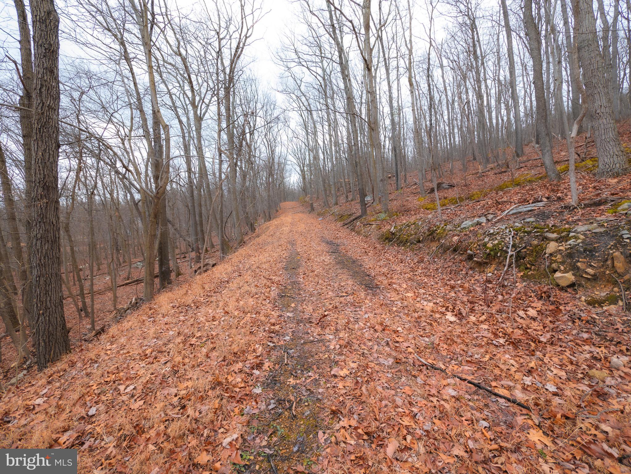 WILDE  ACRES - Land