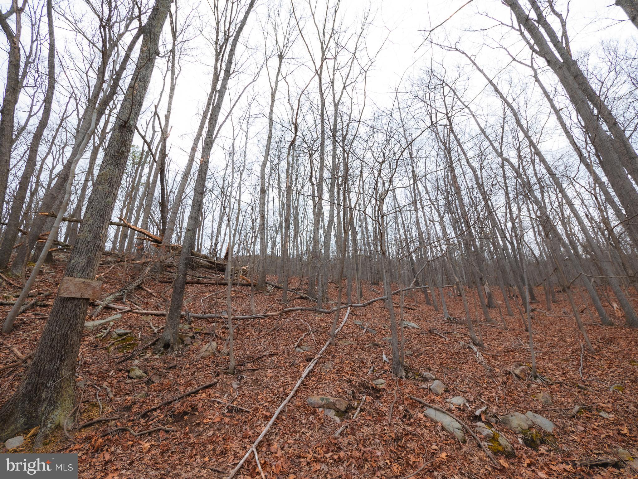 WILDE  ACRES - Land