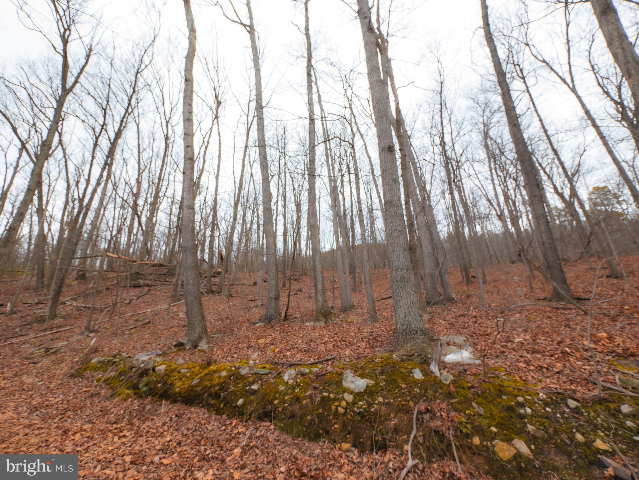 WILDE  ACRES - Land