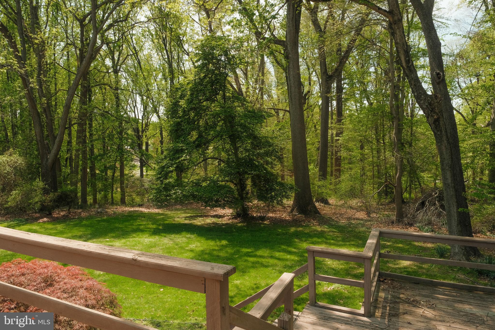 SYCAMORE MILLS - Residential