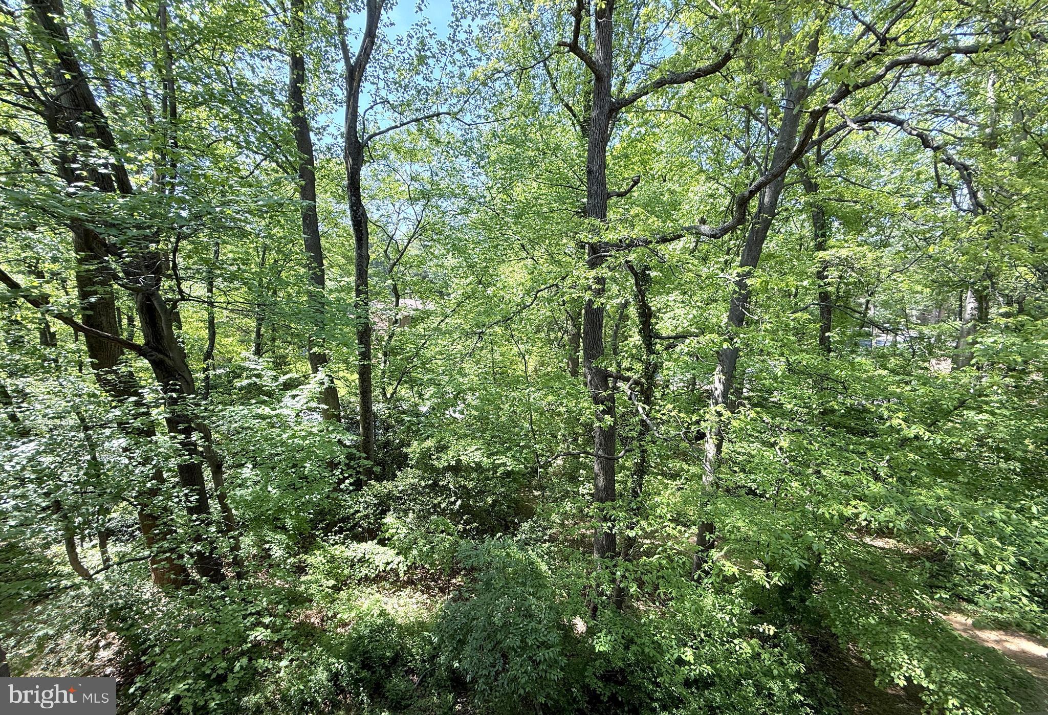NORTHGATE CONDO - Residential