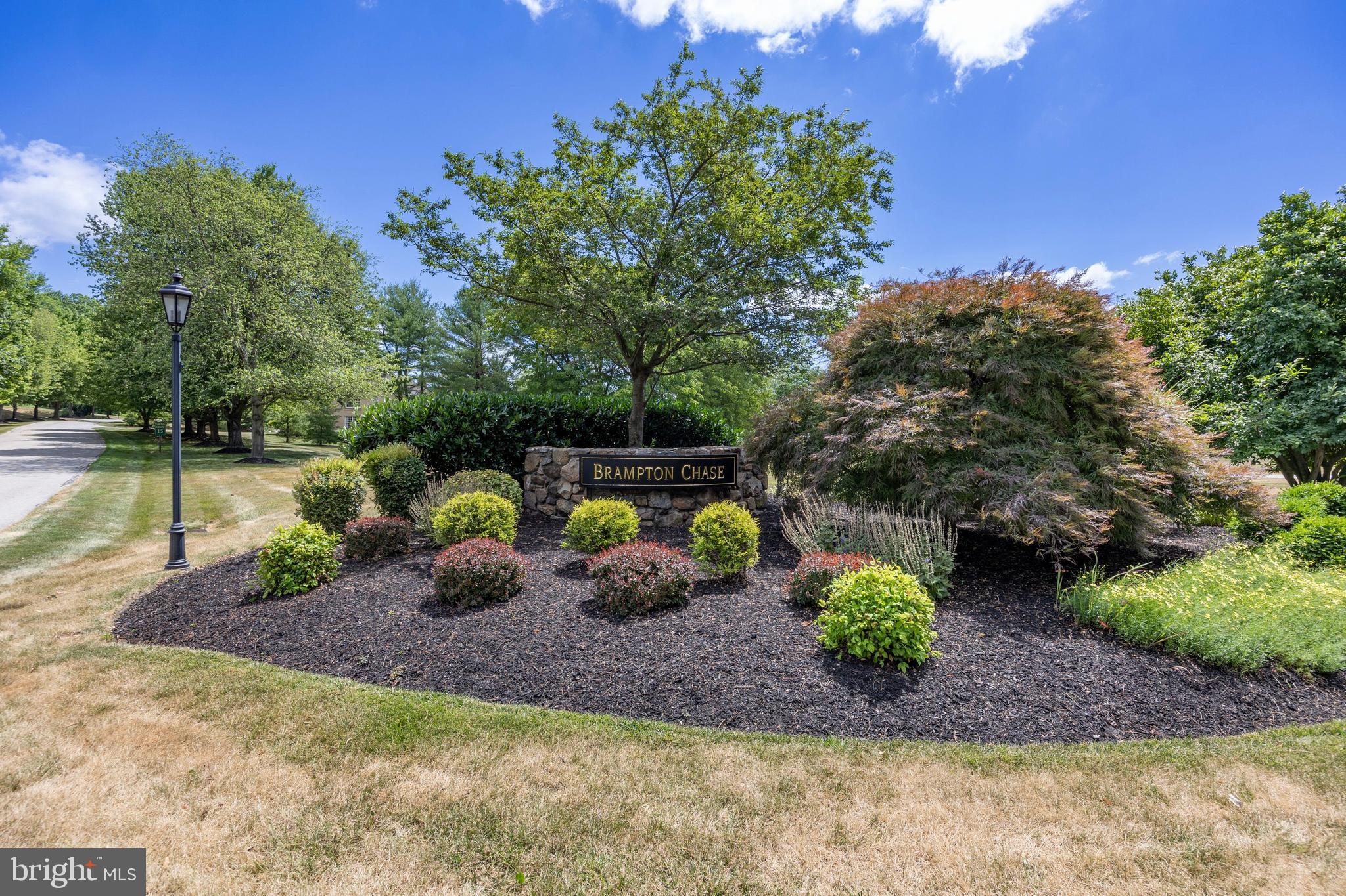 BRAMPTON CHASE - Residential