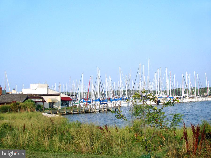 GALESVILLE - Land