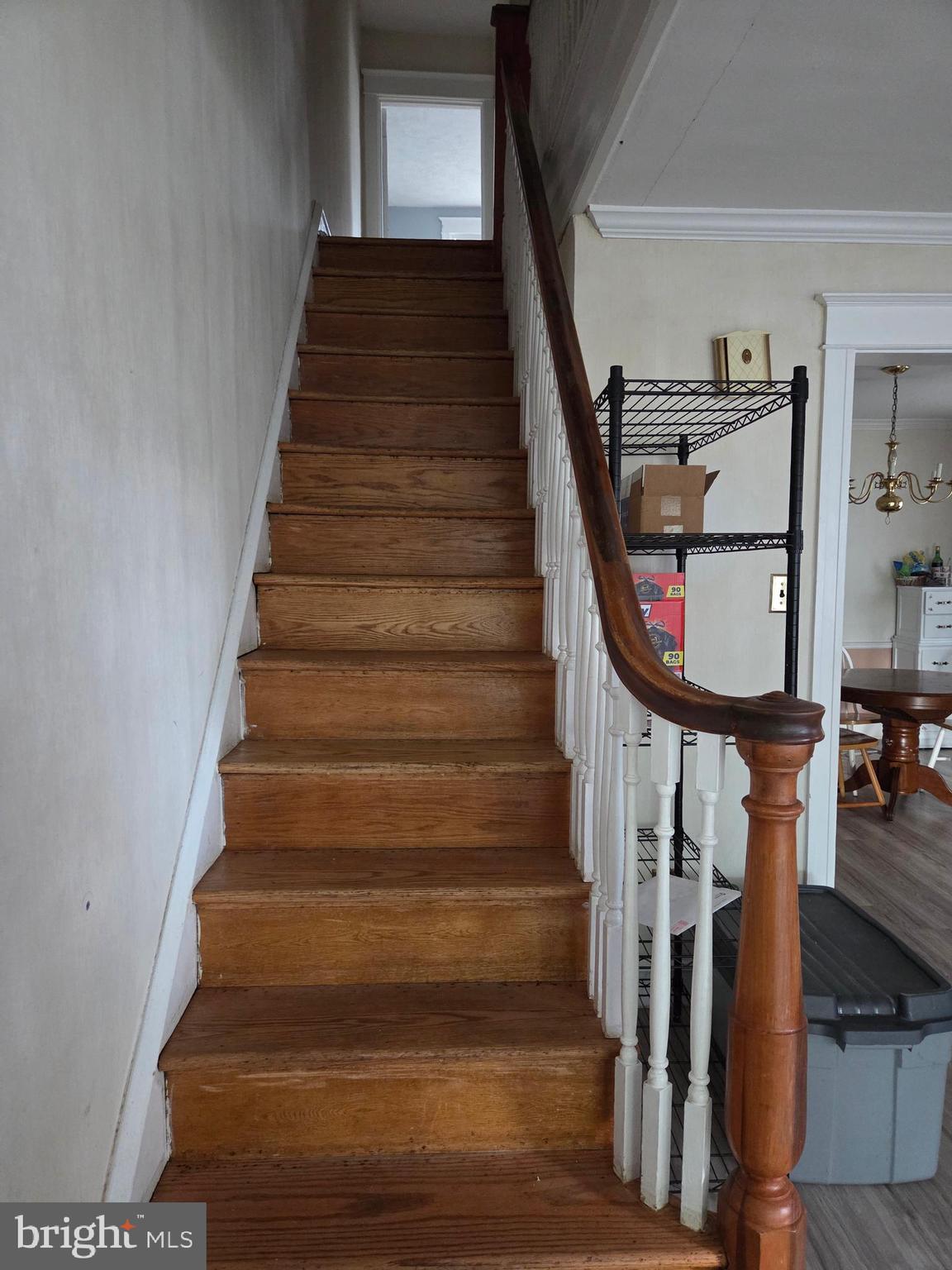 WINCHESTER PARK - Residential