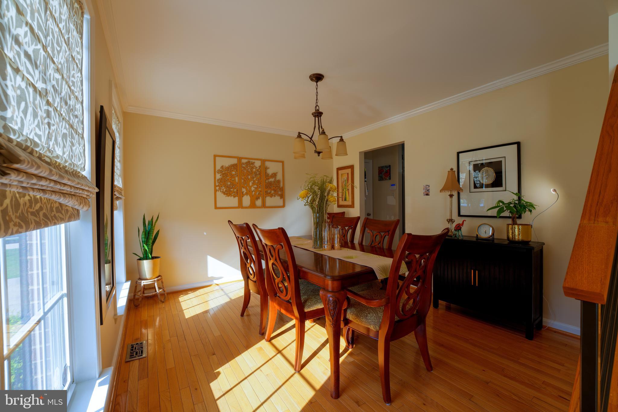 WYNTHORPE - Residential